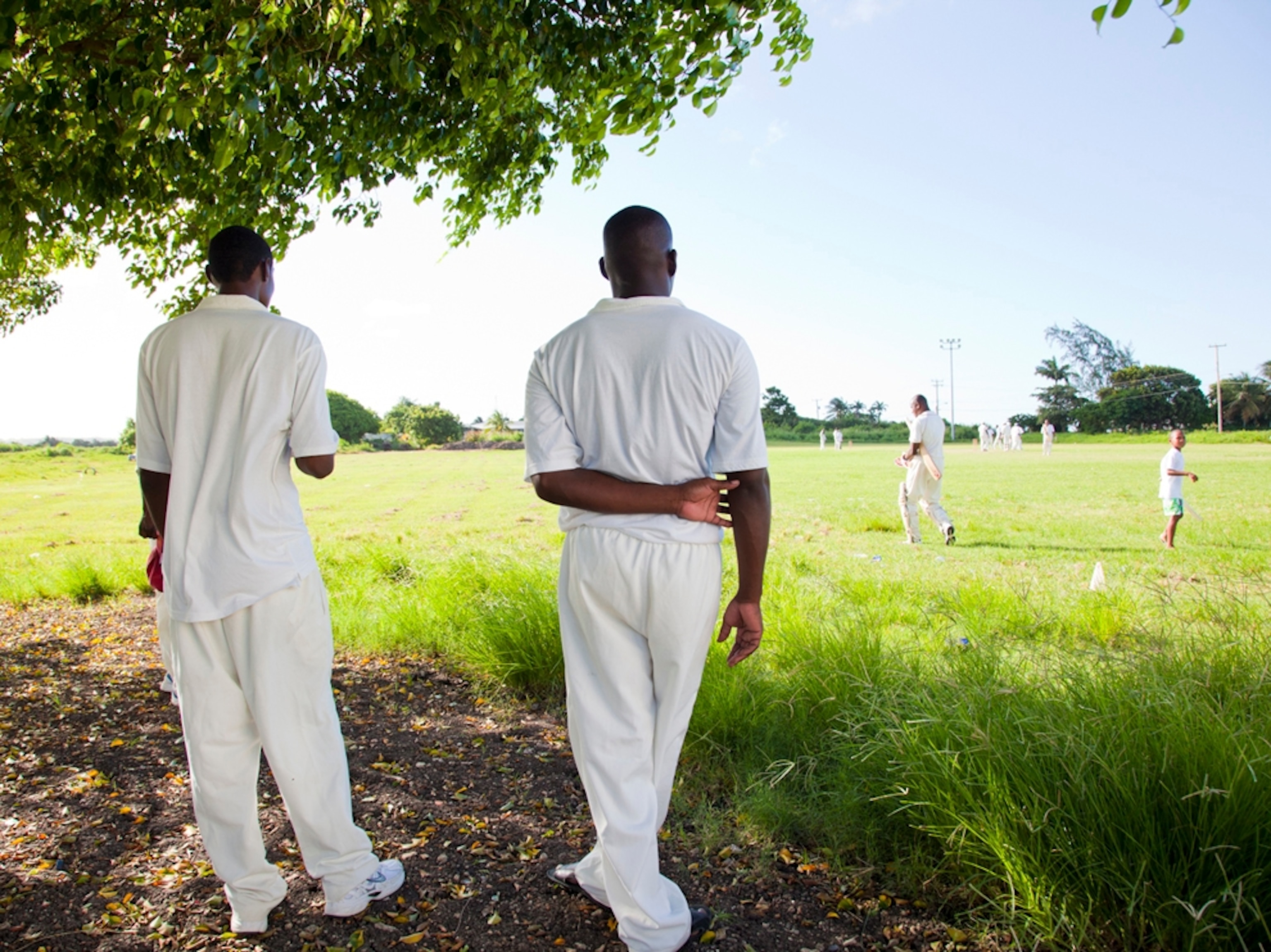 cricket game Barbados