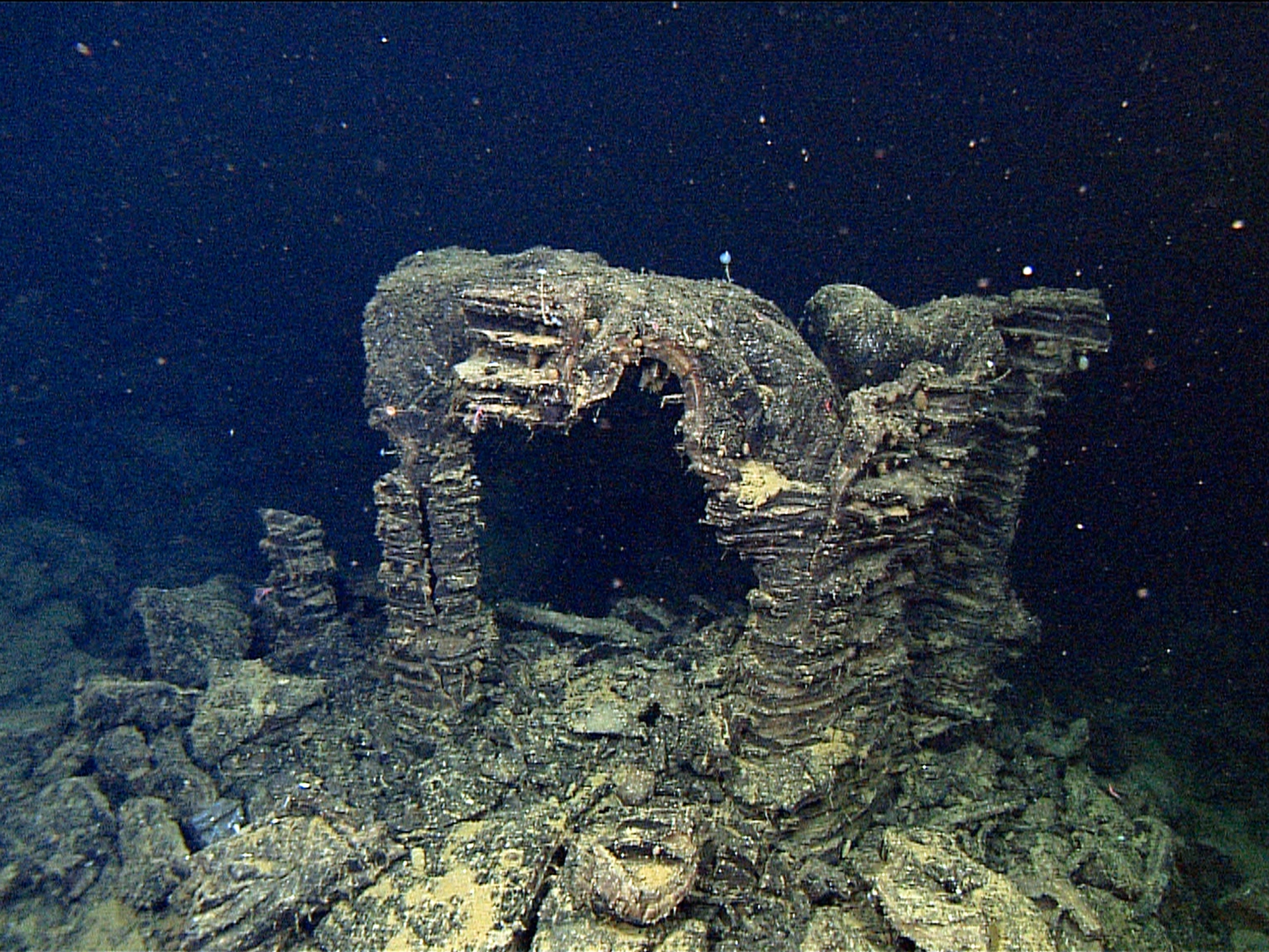Hydrothermal vent picture: gate-like structures on the seafloor