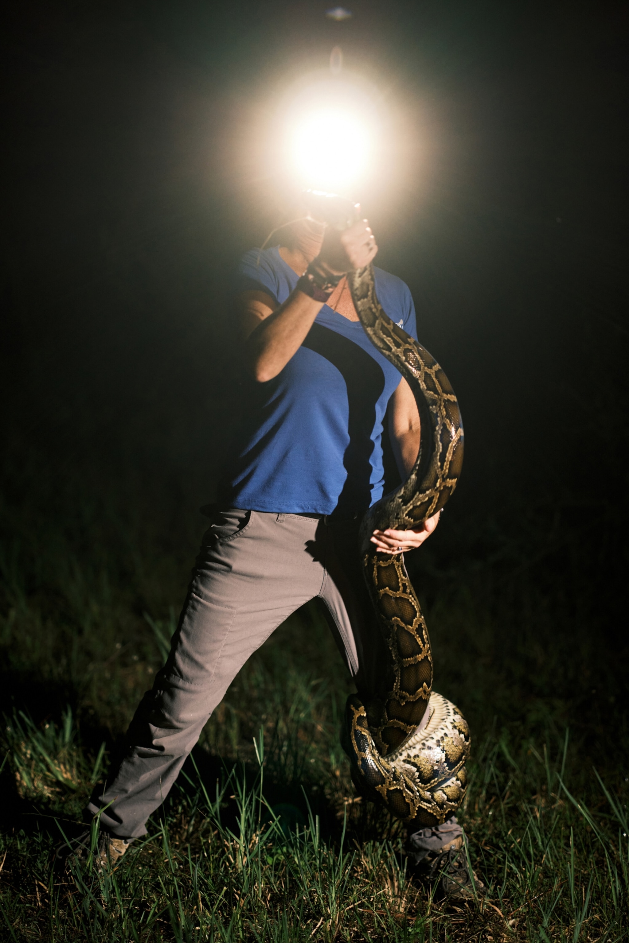 Florida has a python problem—are bounty hunters the solution ...