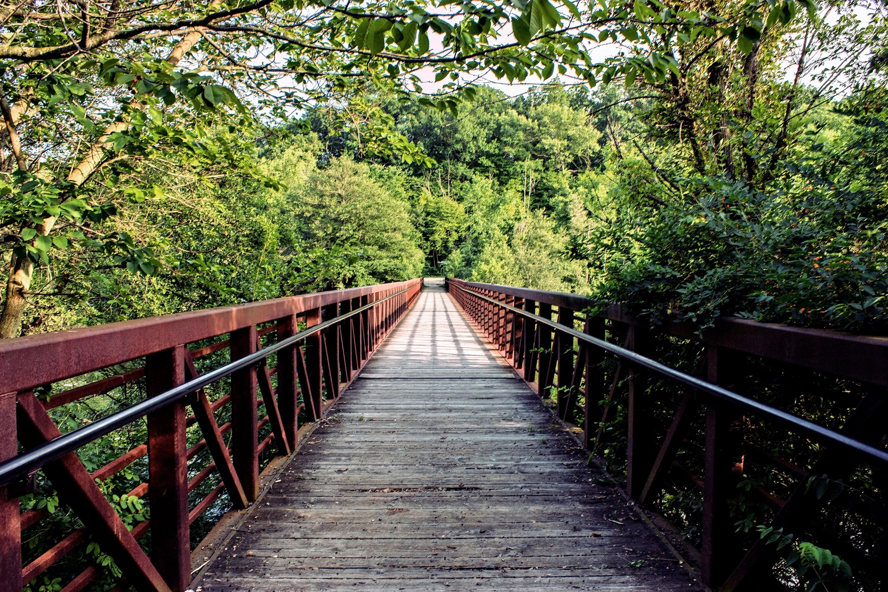 a park bridge in Ann Arbor, Michigan