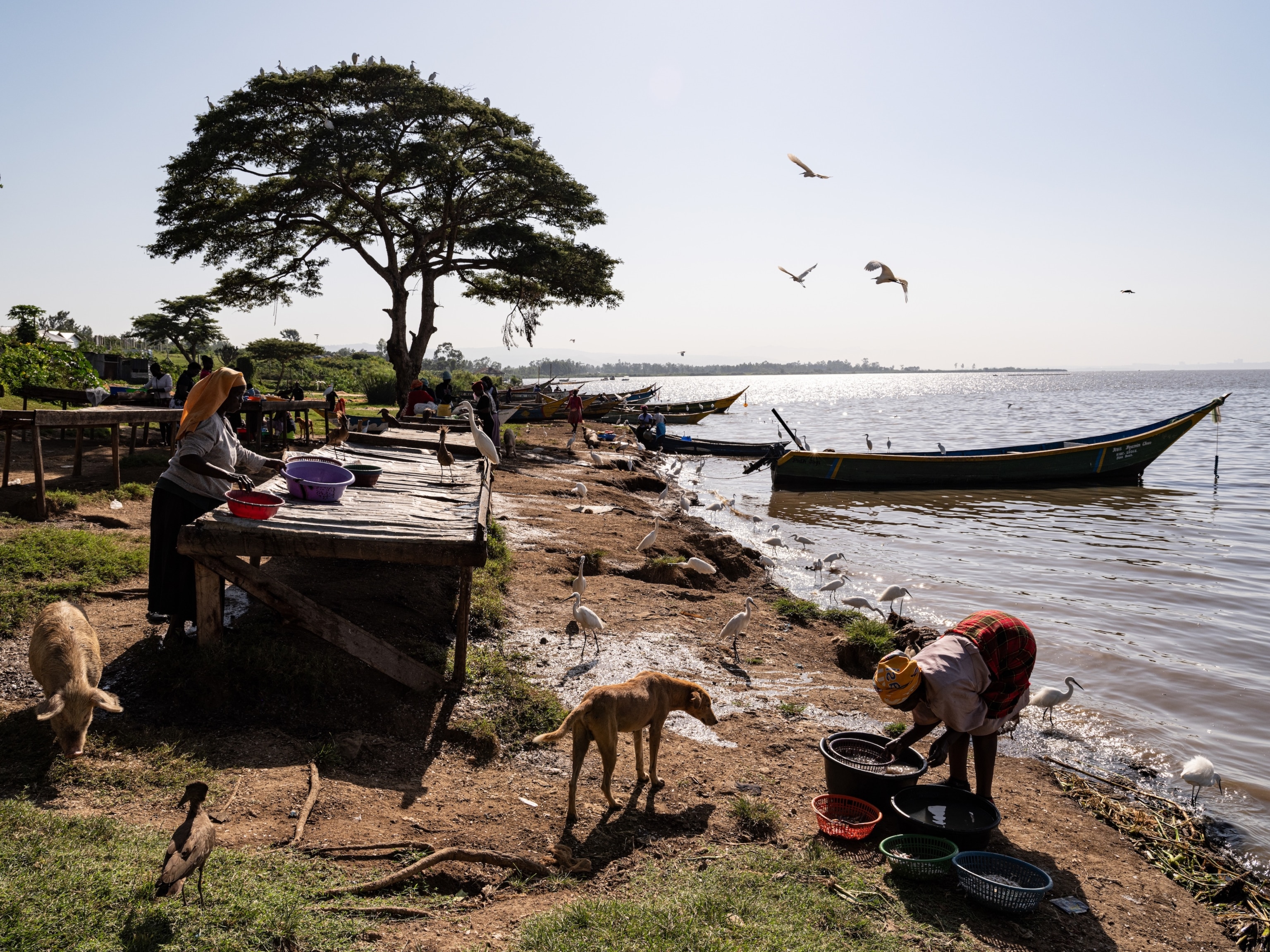 Kisumu, Kenya
