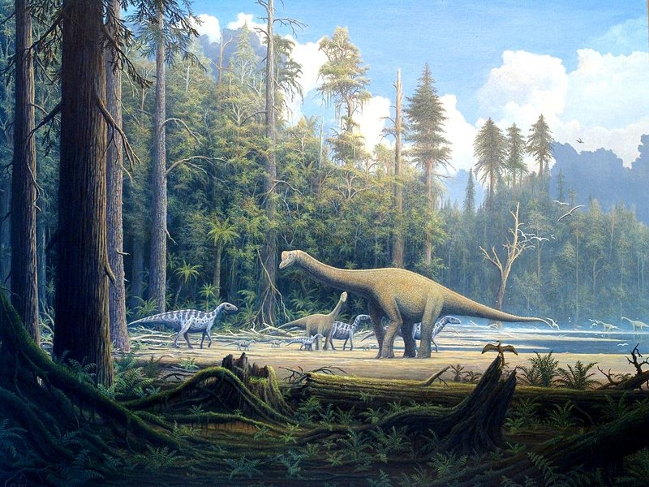 Europasaurus Size Europasaurus Canvas Print Europasaurus PIXERS.CO.NZ