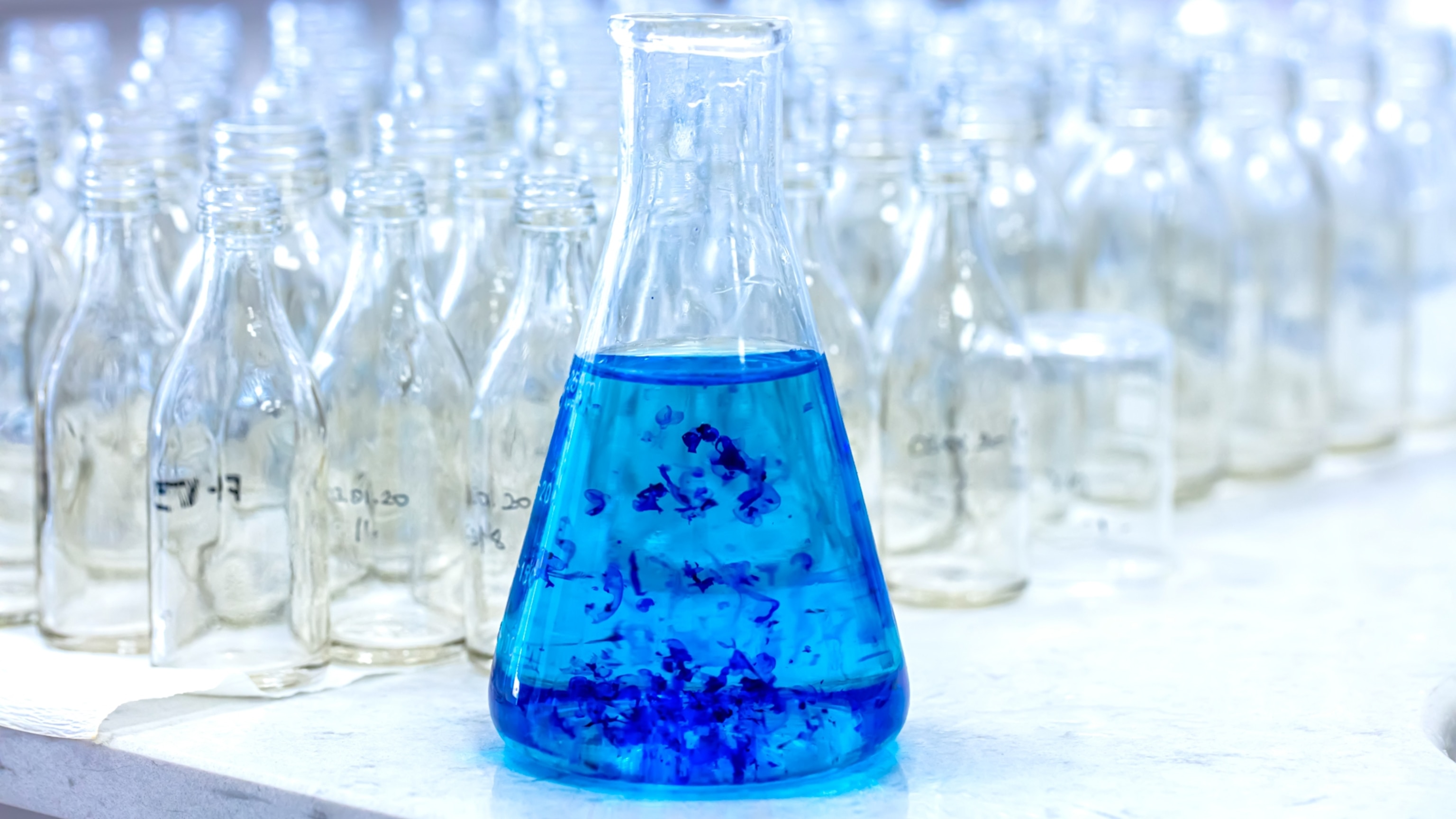 What is methylene blue and can it really boost your brain power?