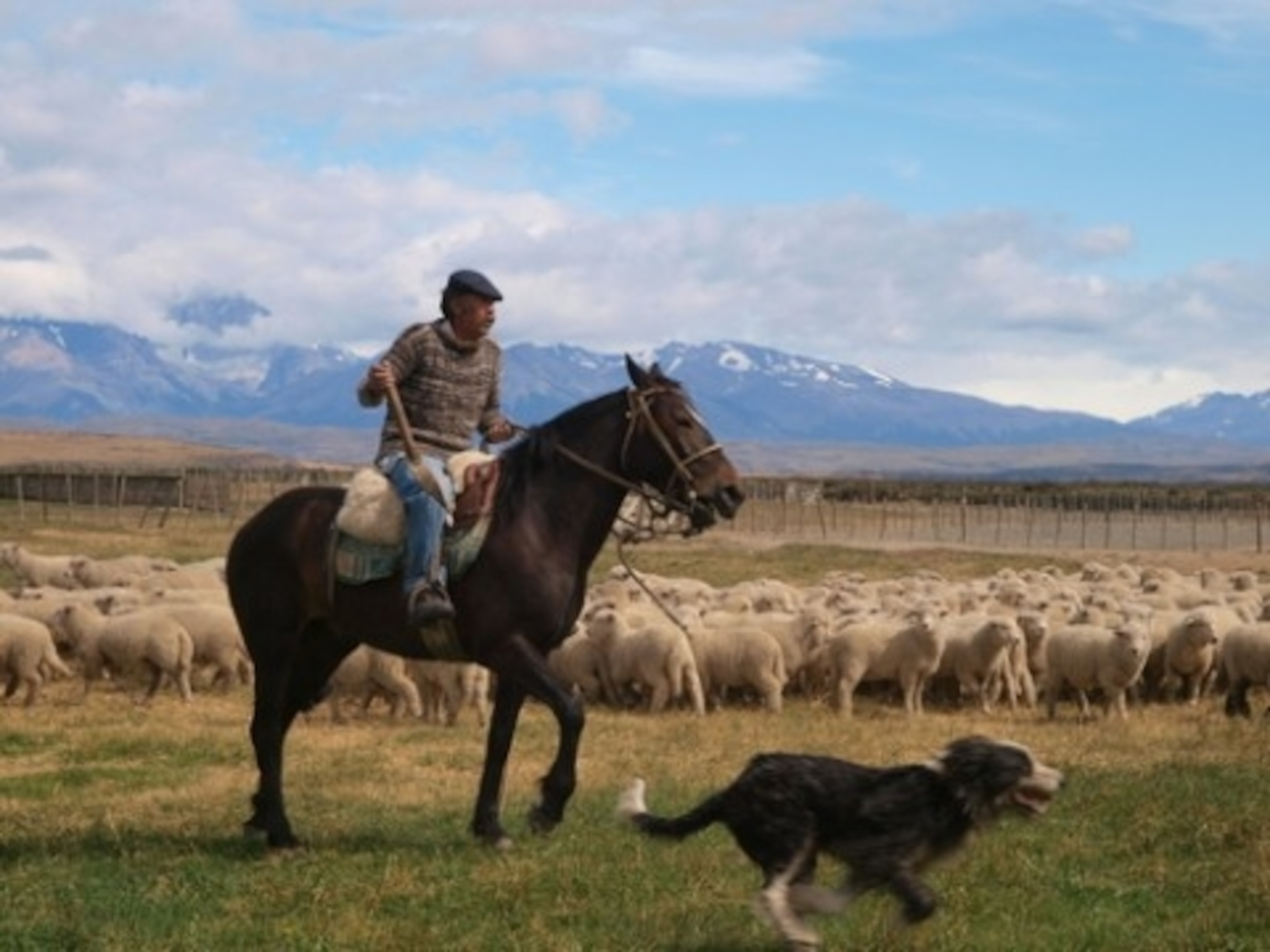 Patagonia Gauchos.jpg