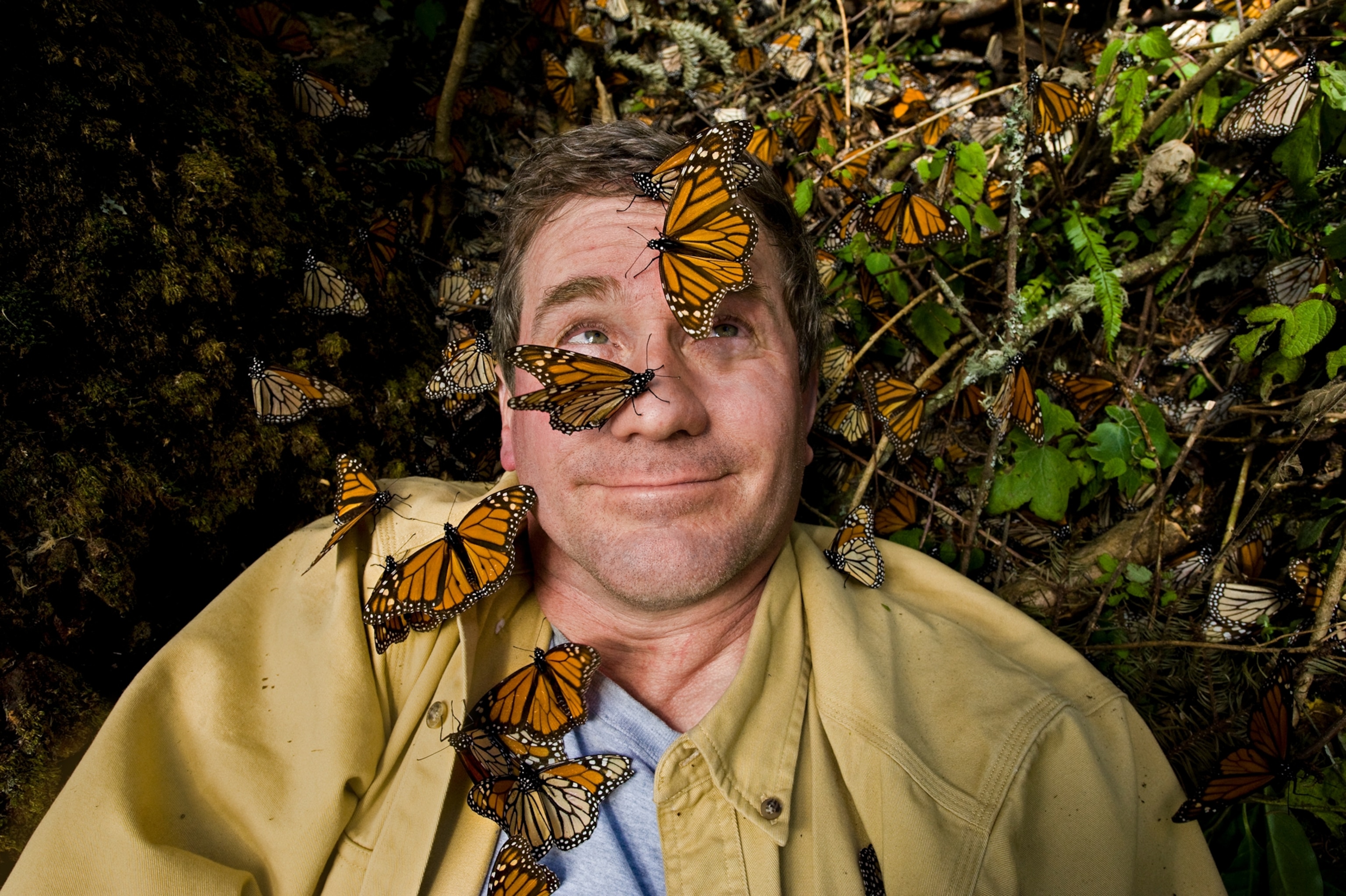 Portrait of a man from the chest up with green shrubbery behind his head and several butterflies on his chest, shoulder, and face.