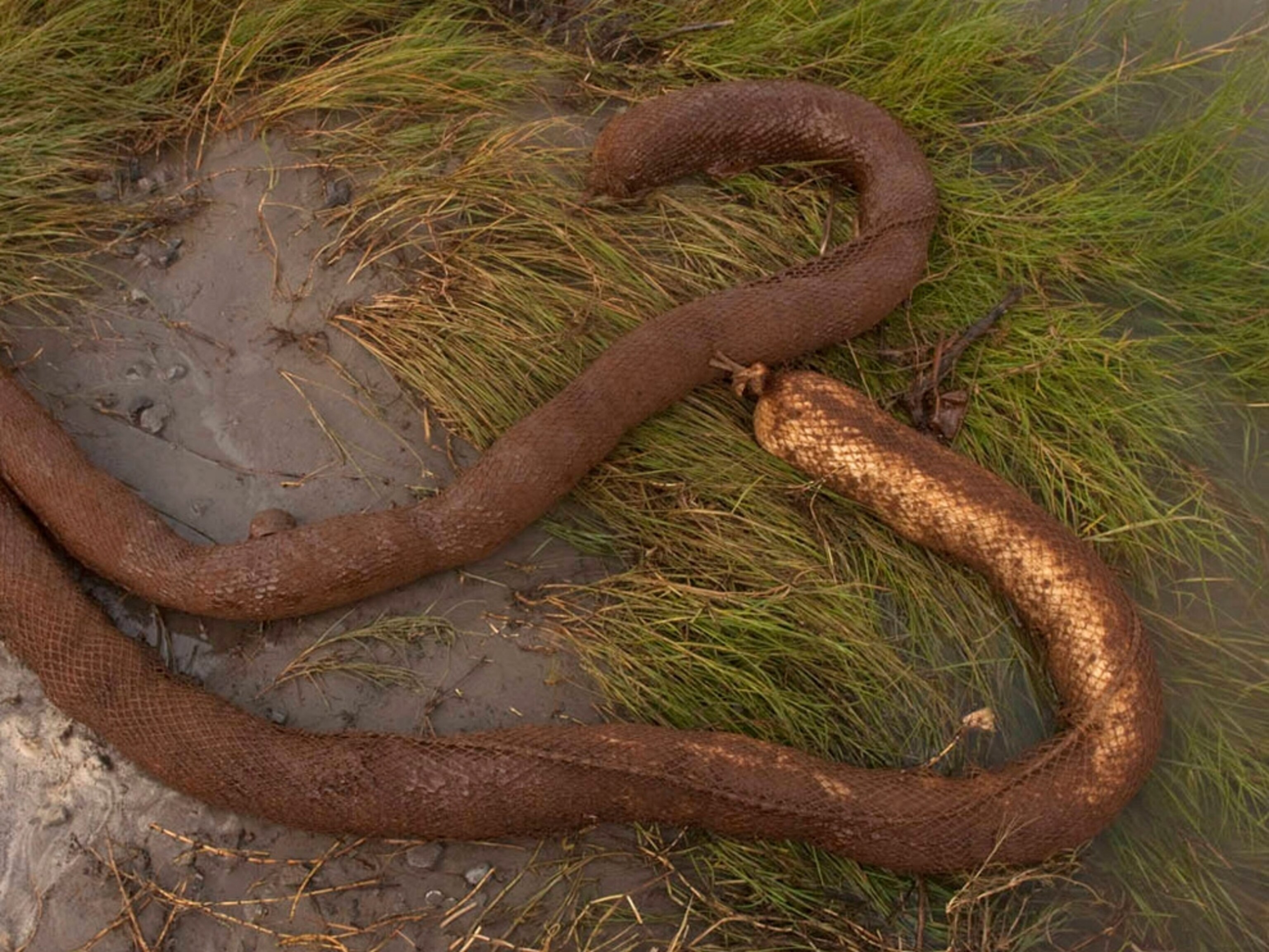 oil-soaked booms on the ground in Port Fourchon.