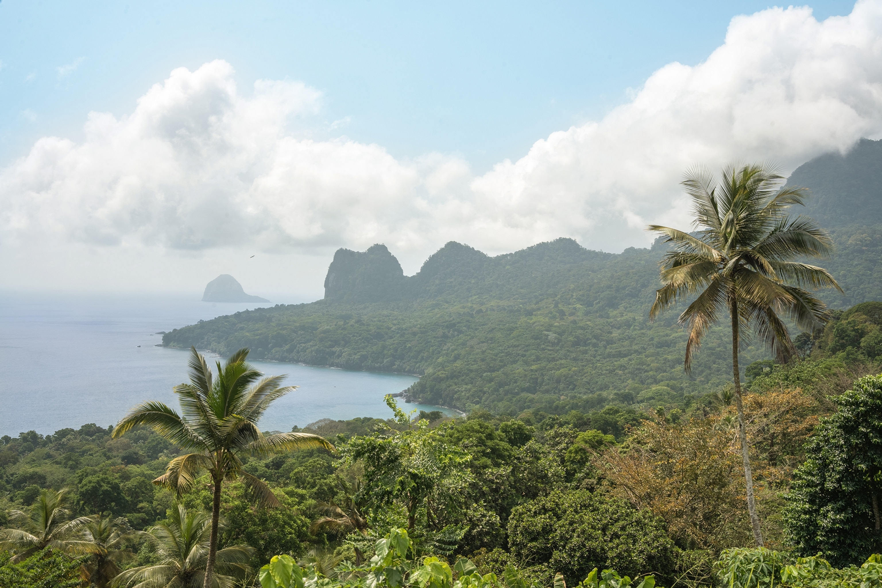 A landscape shot of a coast reaching in and out of the clear sea as forested hills and palm trees define the island.