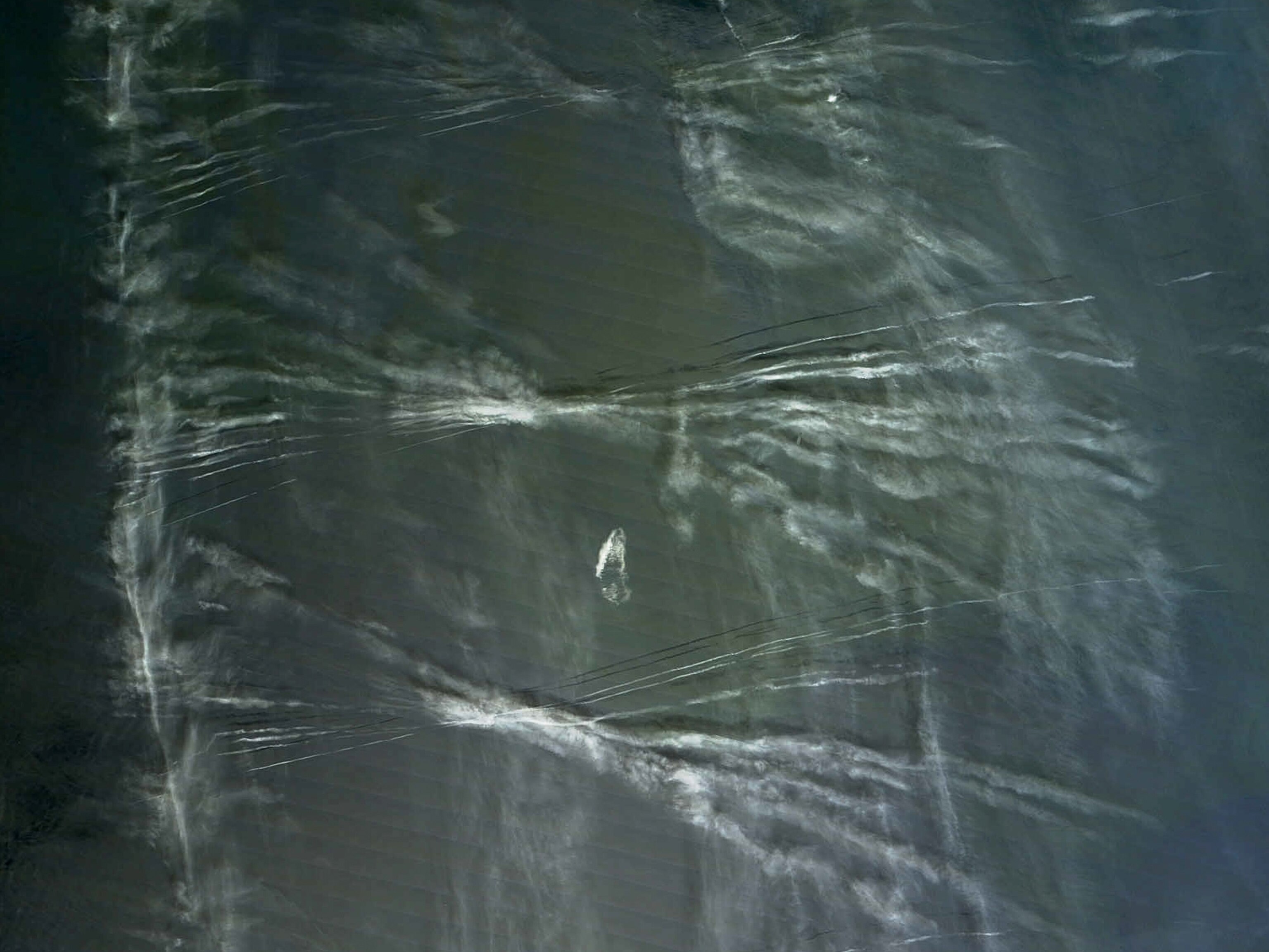 Contrails picture: satellite view of the Newfoundland coast