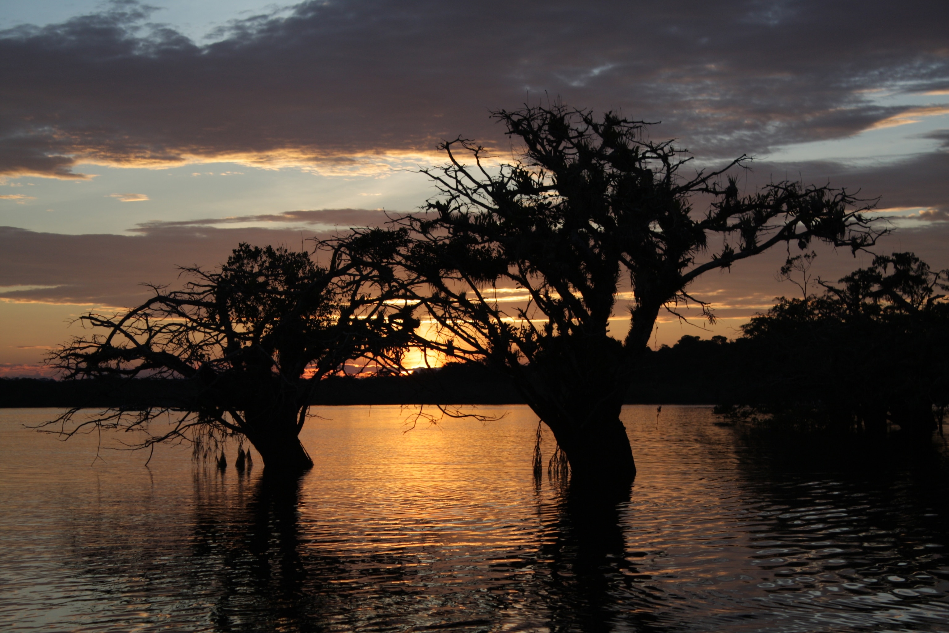 Sunset in Cuyabeno Reserve, Ecuador