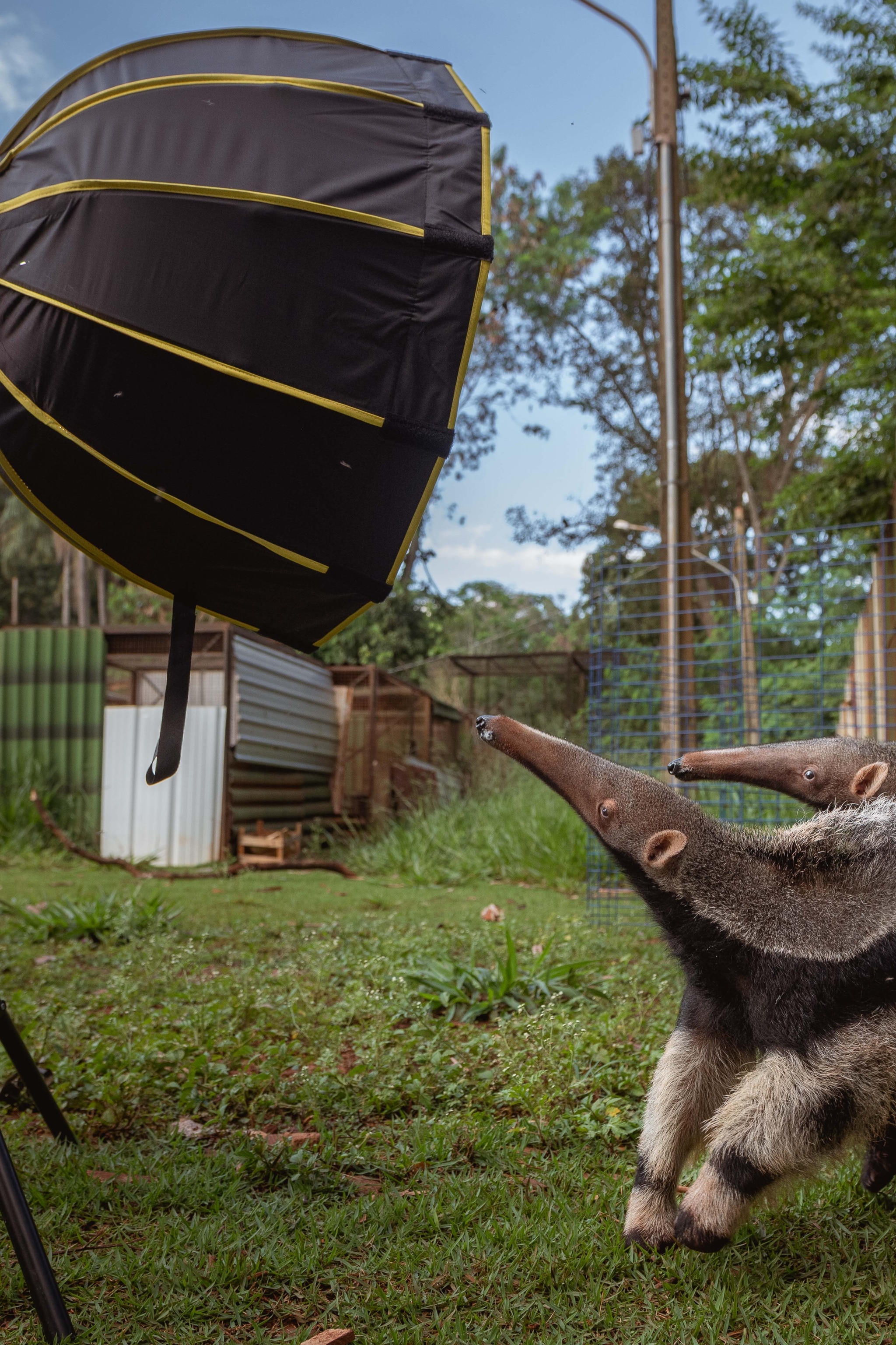 National Geographic