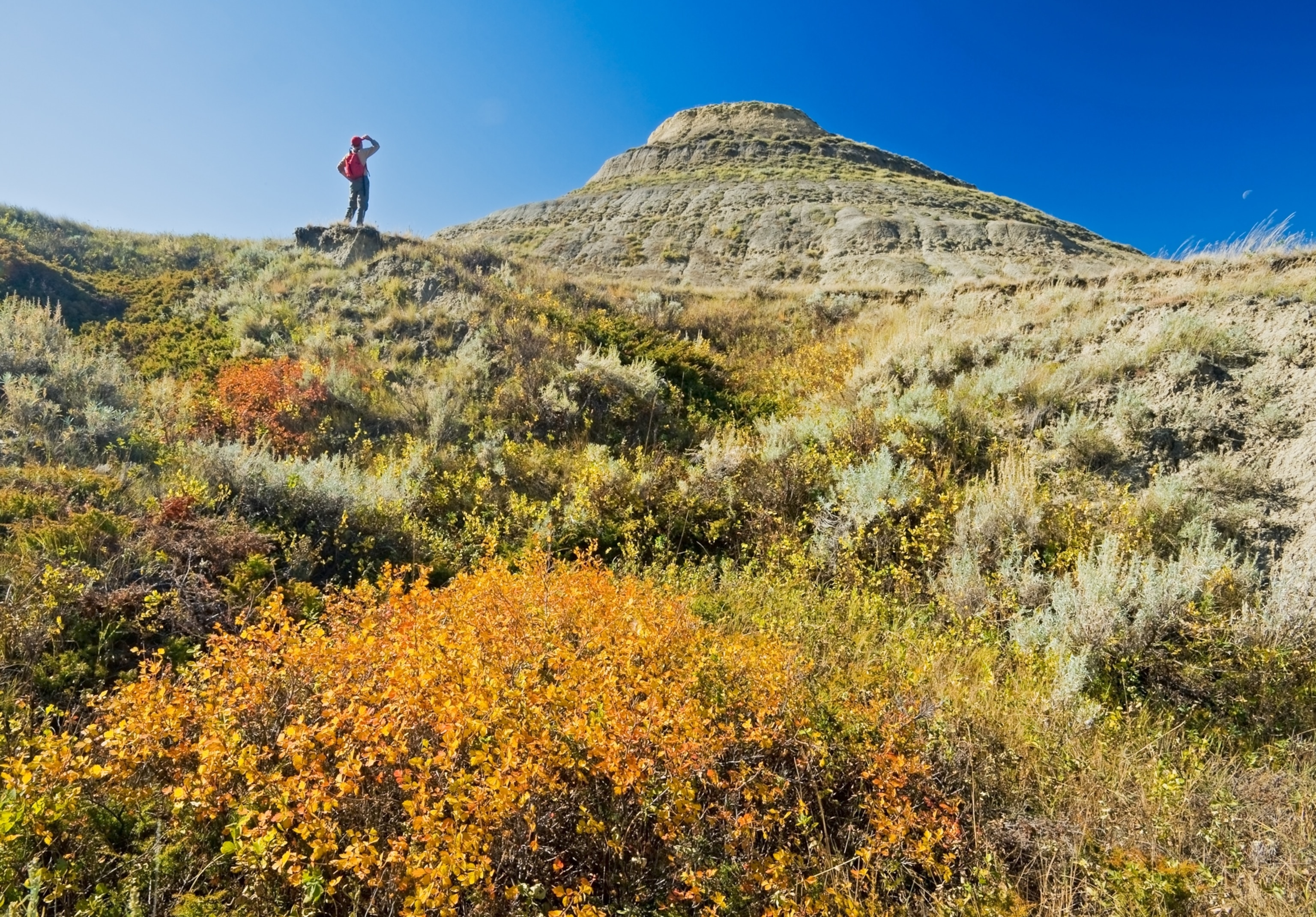 This image of Hiker exploring scenic trails amidst vibrant autumn foliage and rolling hills under a clear blue sky