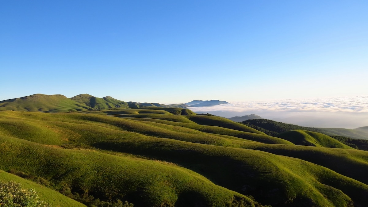 The Ultimate Road Trip Johannesburg to Kruger