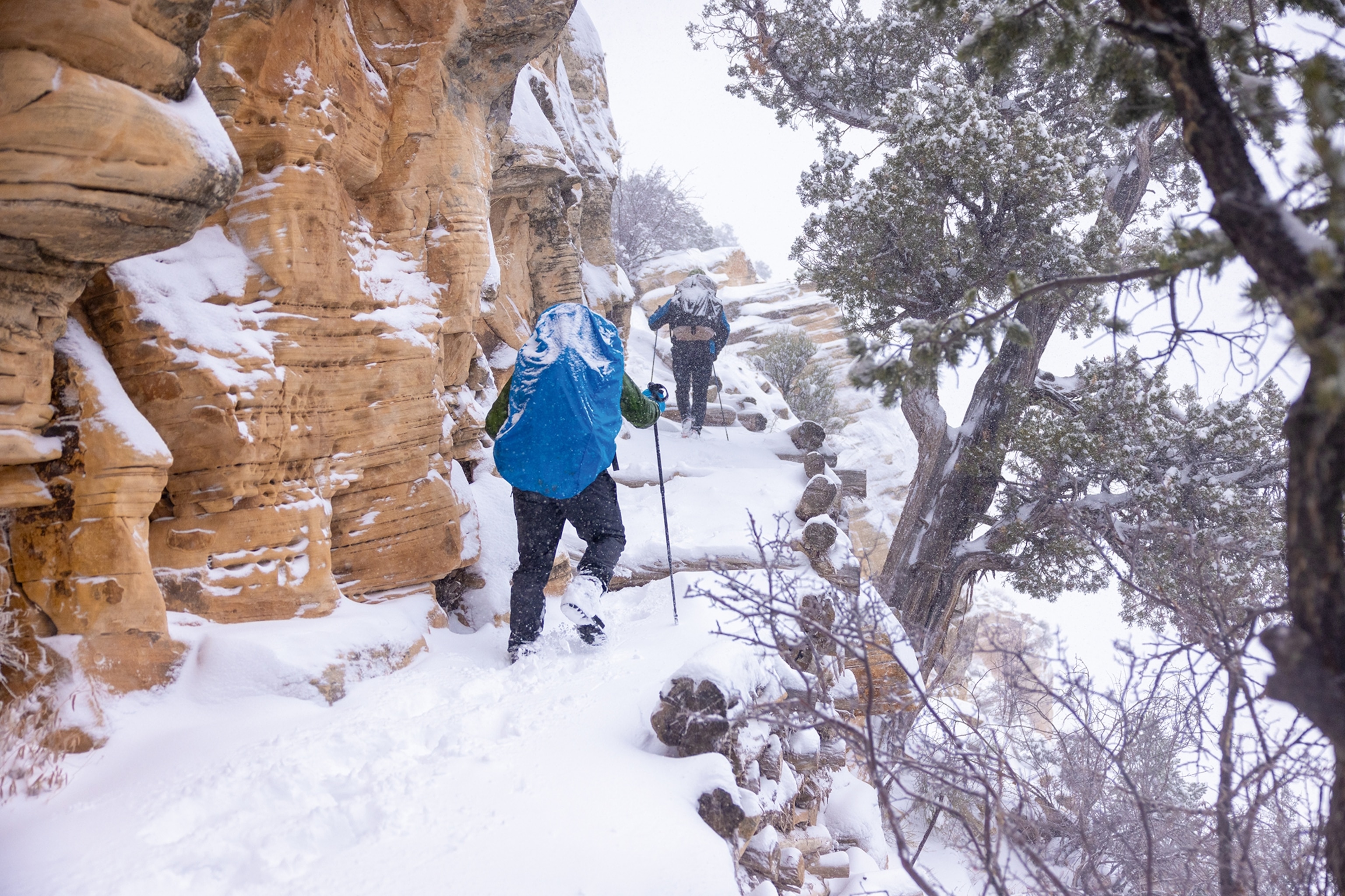 A snowed-in cliff side of a canyon with hikers making their way up the trail.