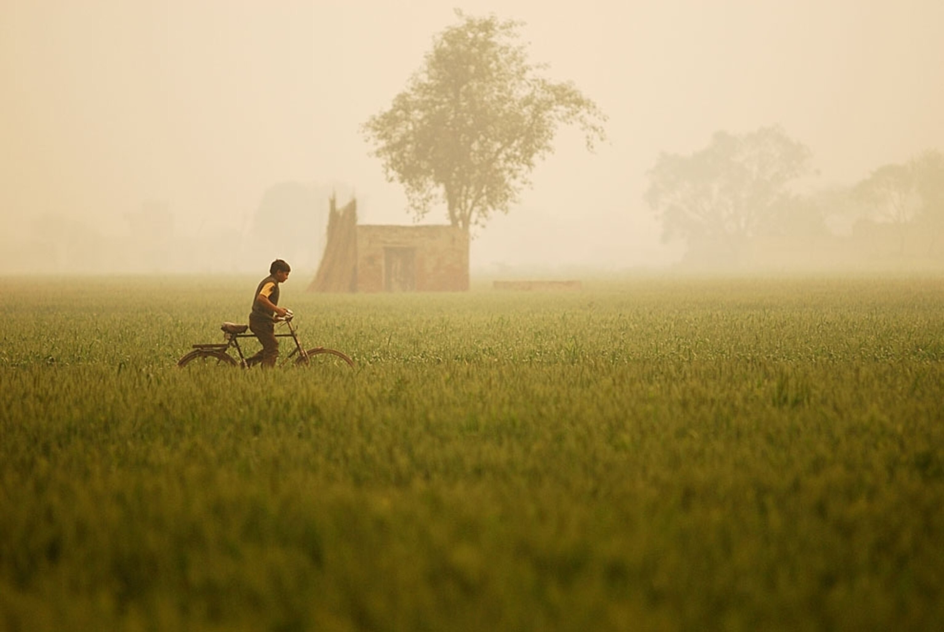 A boy walking a bike through a field in India