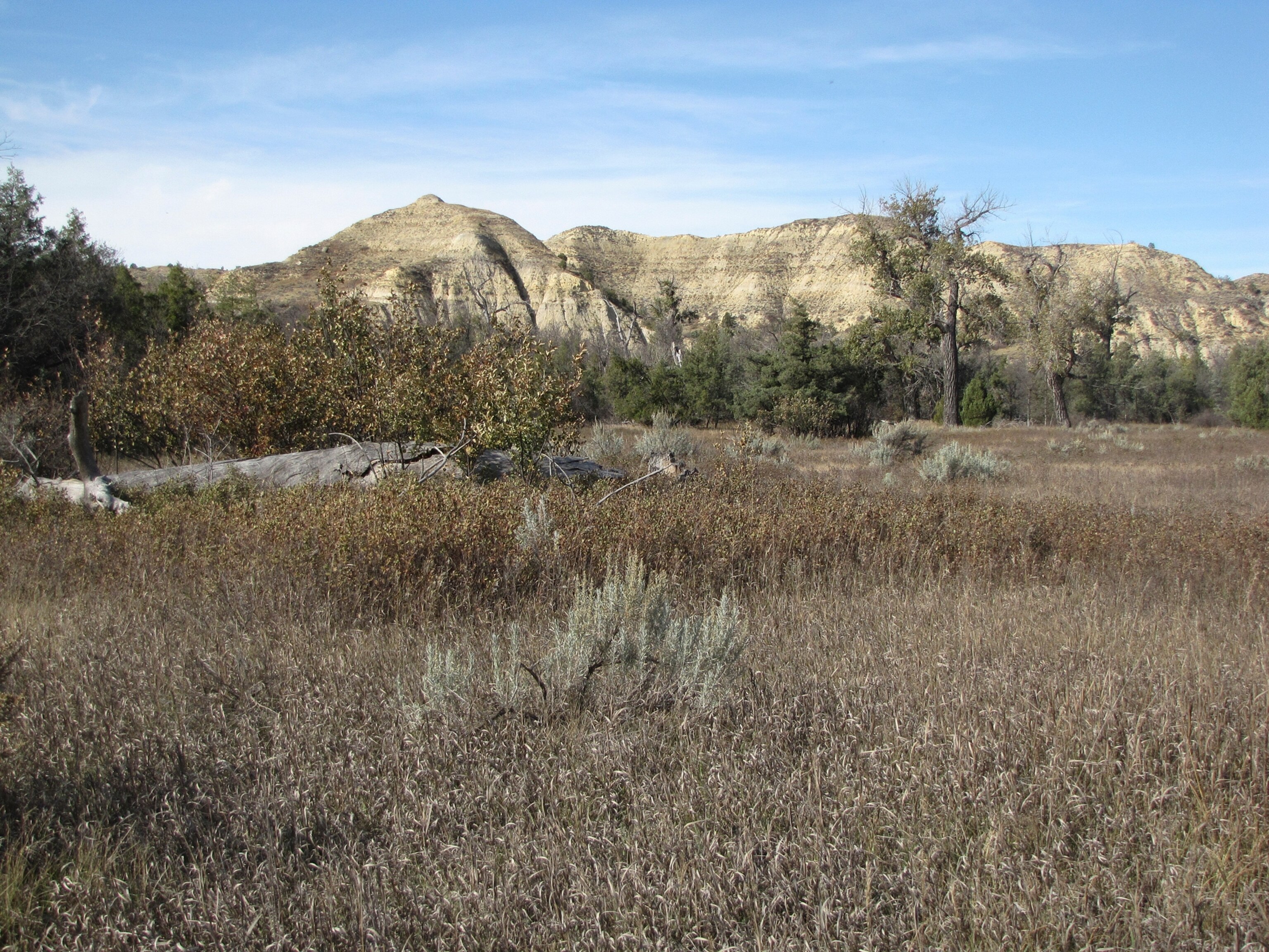 Theodore Roosevelt's Elkhorn Ranch, one of the most endangered historic sites of 2012