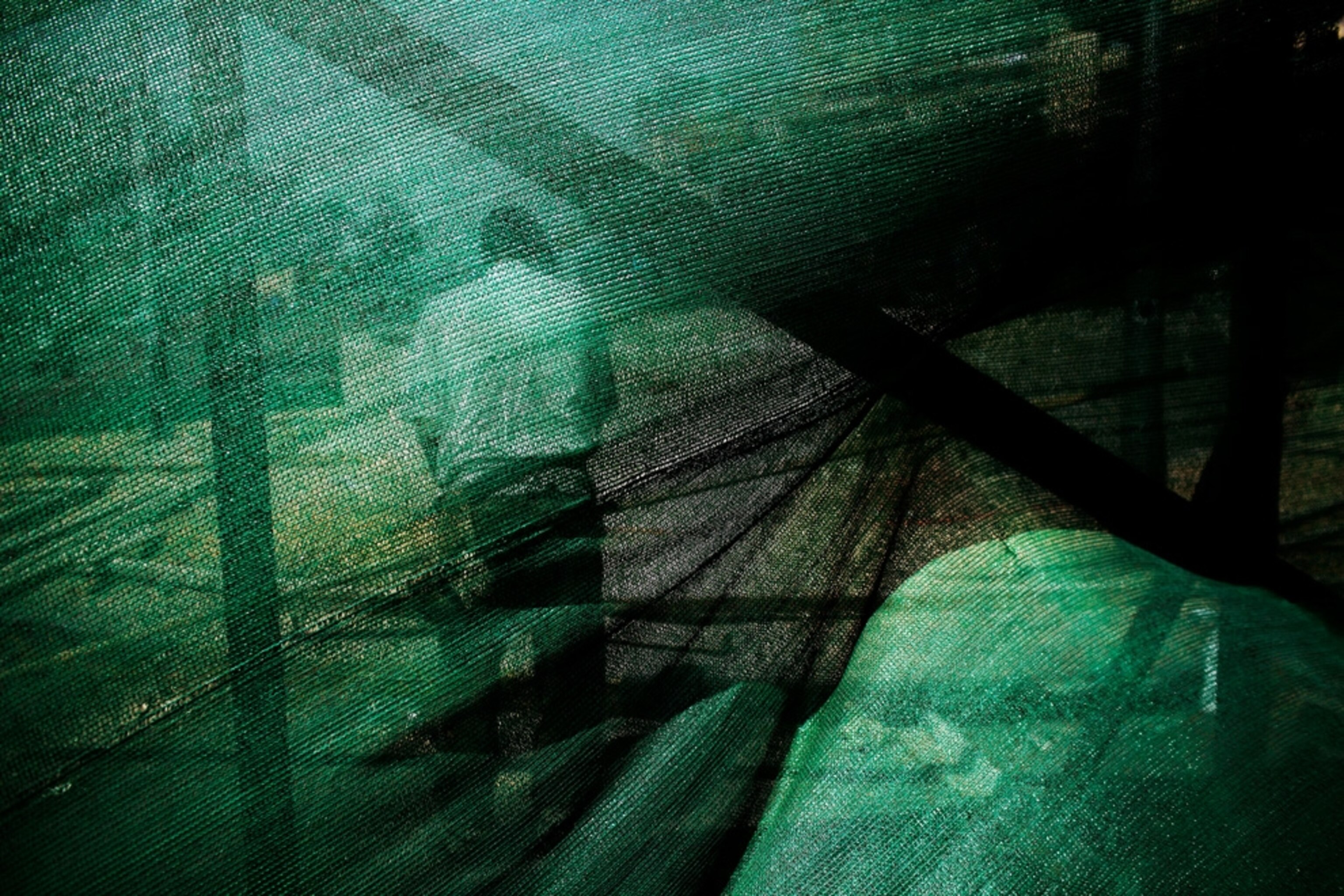 Pictures We Love August - A picture of a worker in Egypt.