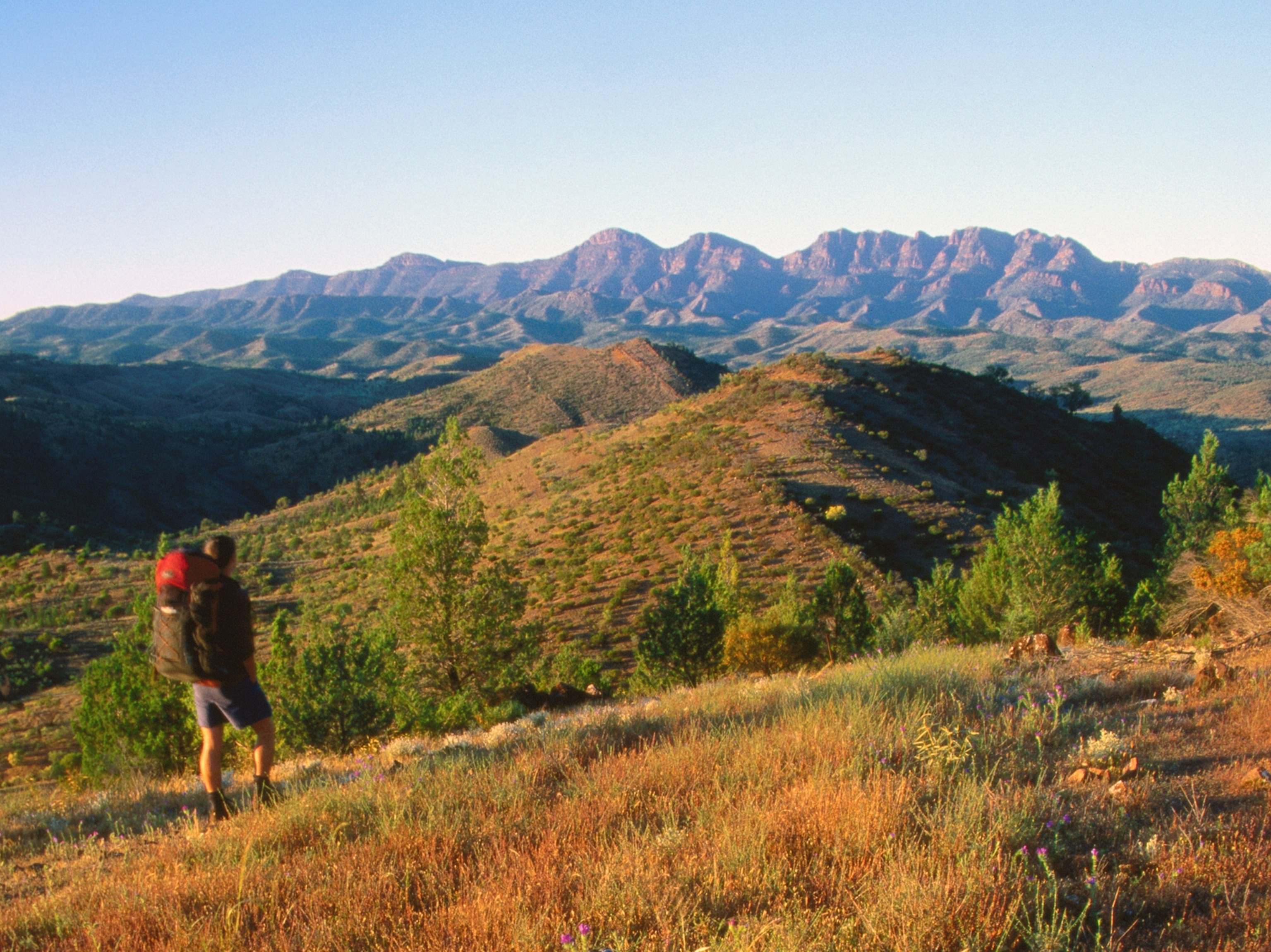 a hiker on the Heysen Trail approaching Wilpena Pound