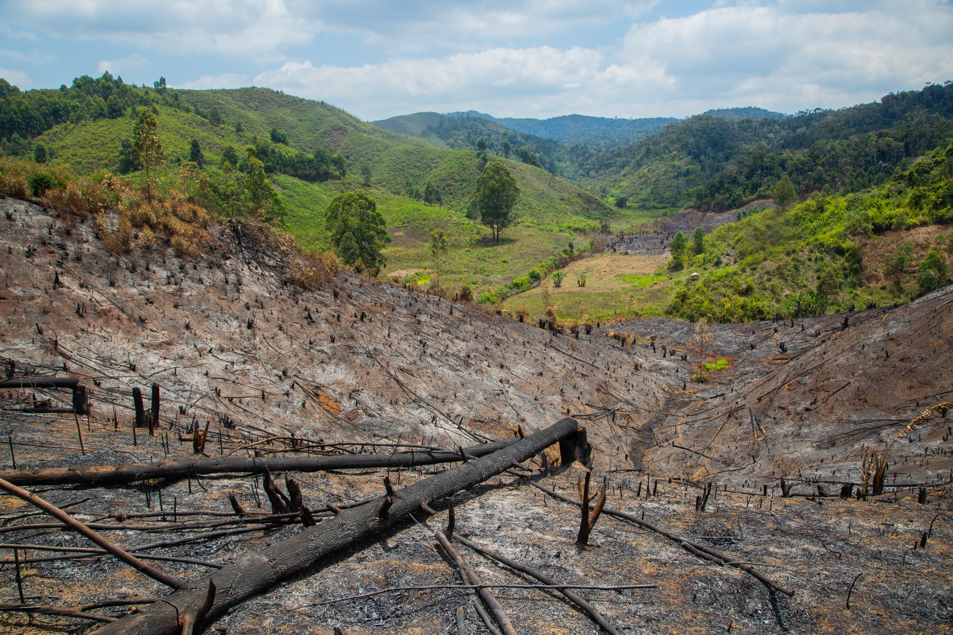 Deforested areas created by slash-and-burn agricolture (tavy) on the borders of the Maromizaha reserve, Madagascar.