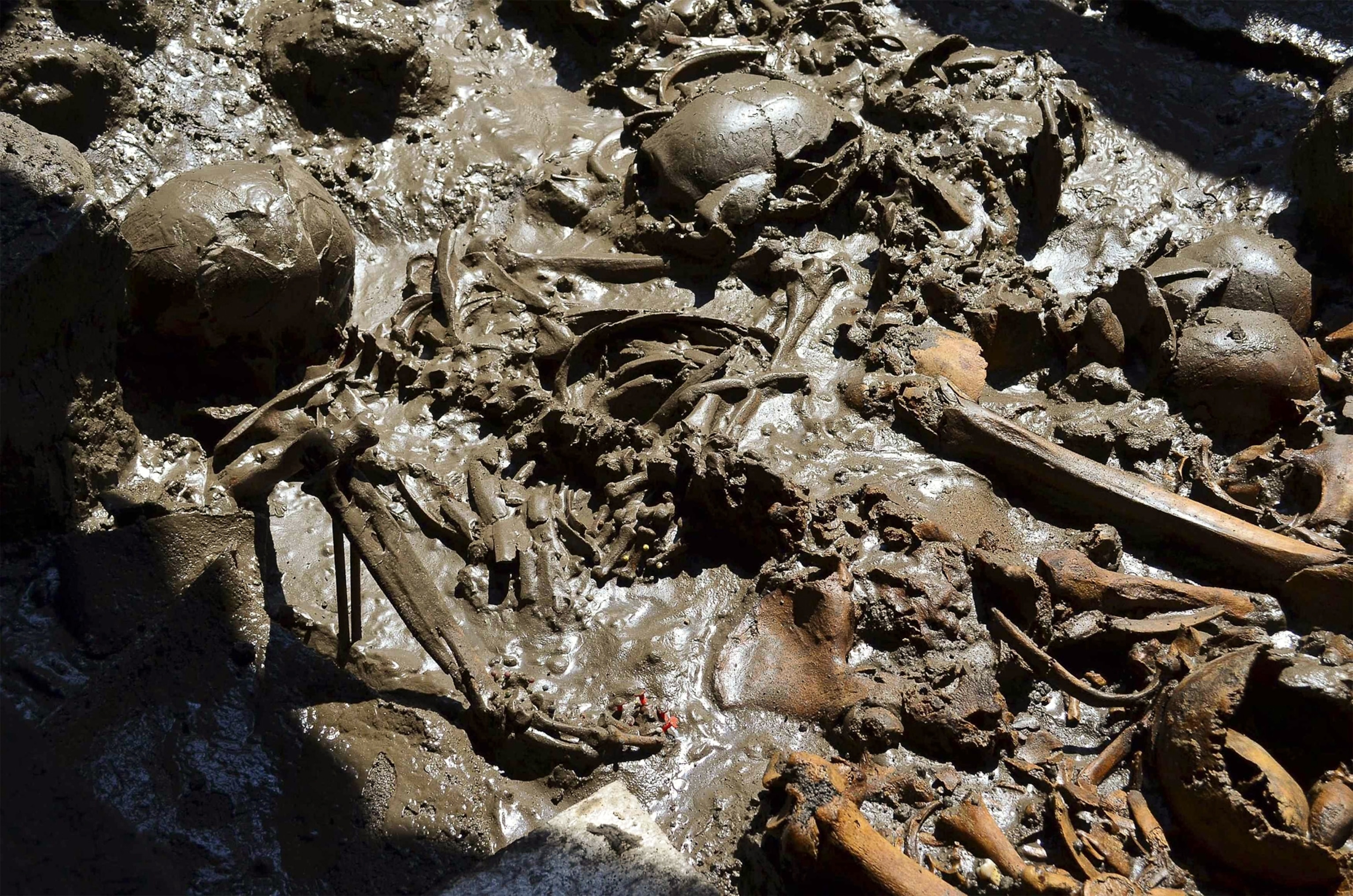 bones picture - templo mayor discovery