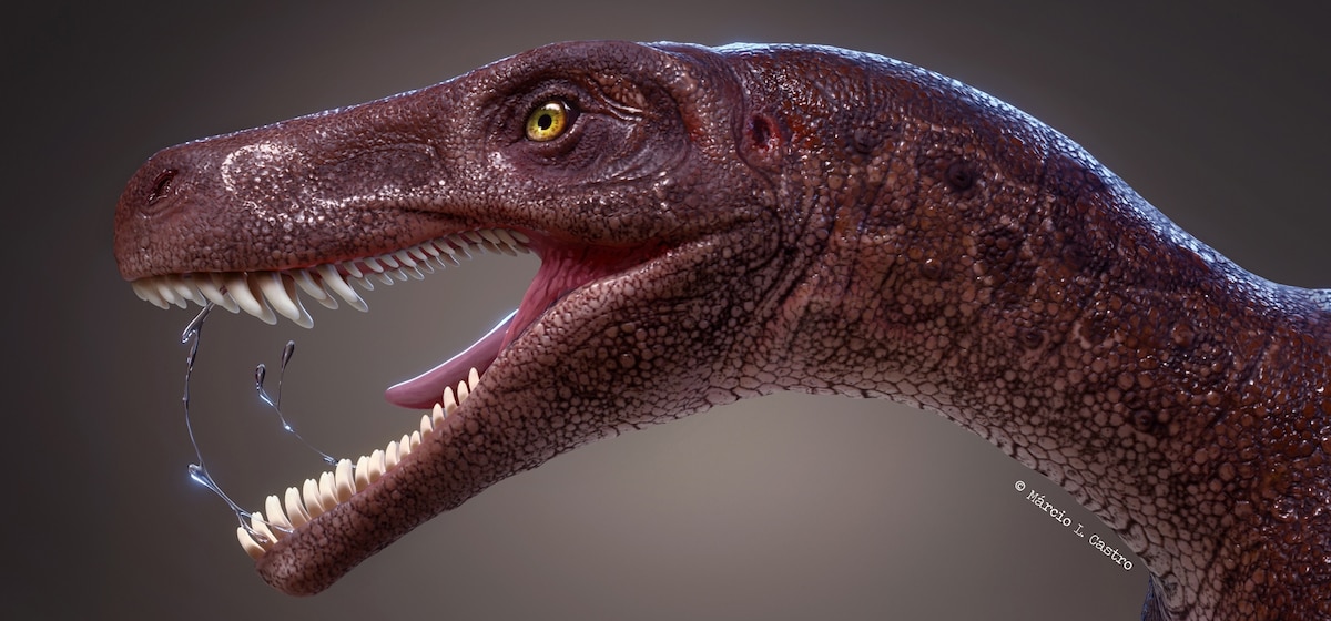 Early meateating dinosaur revealed via spectacular fossil
