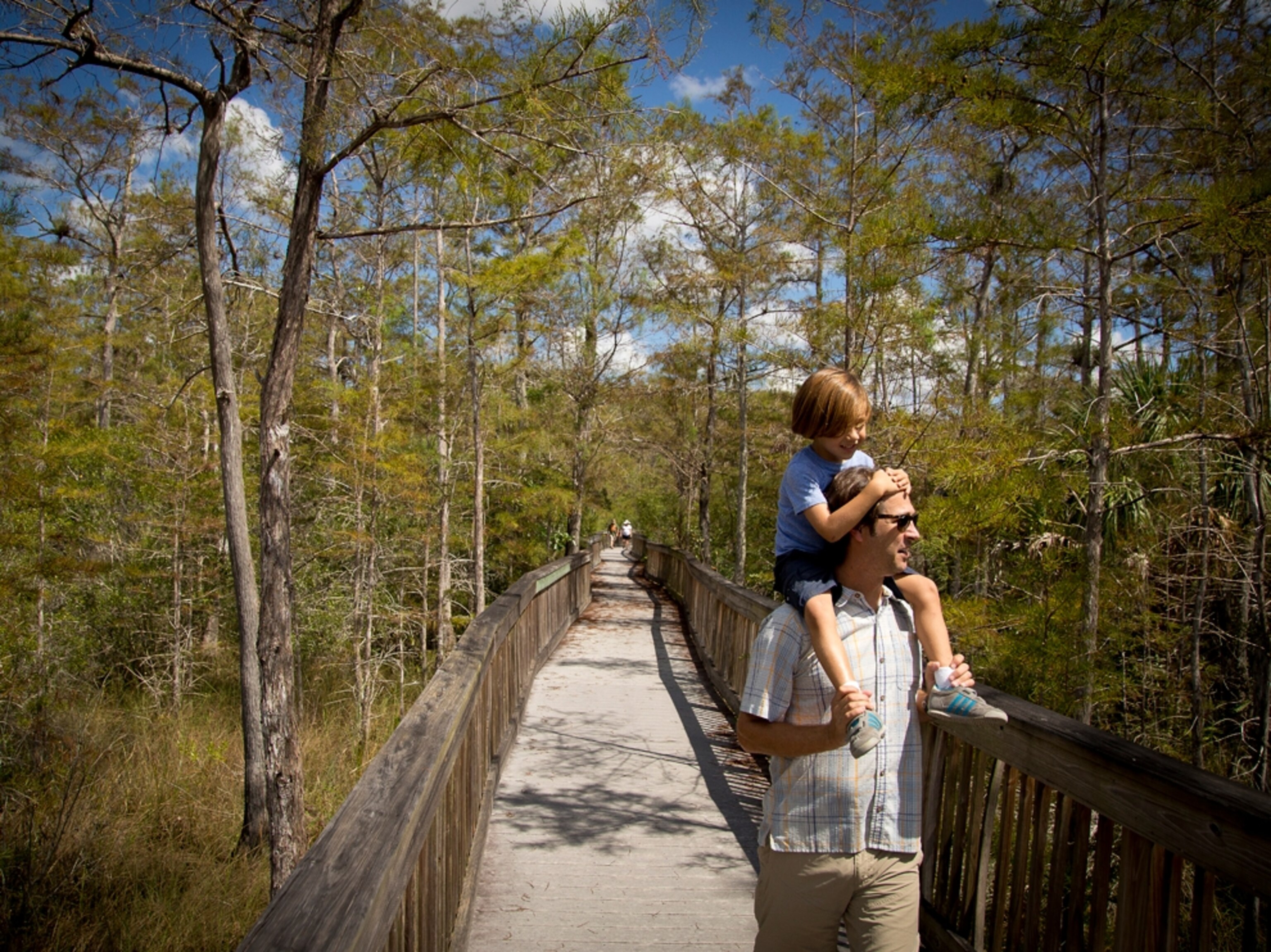 a man and his son hiking through the Everglades