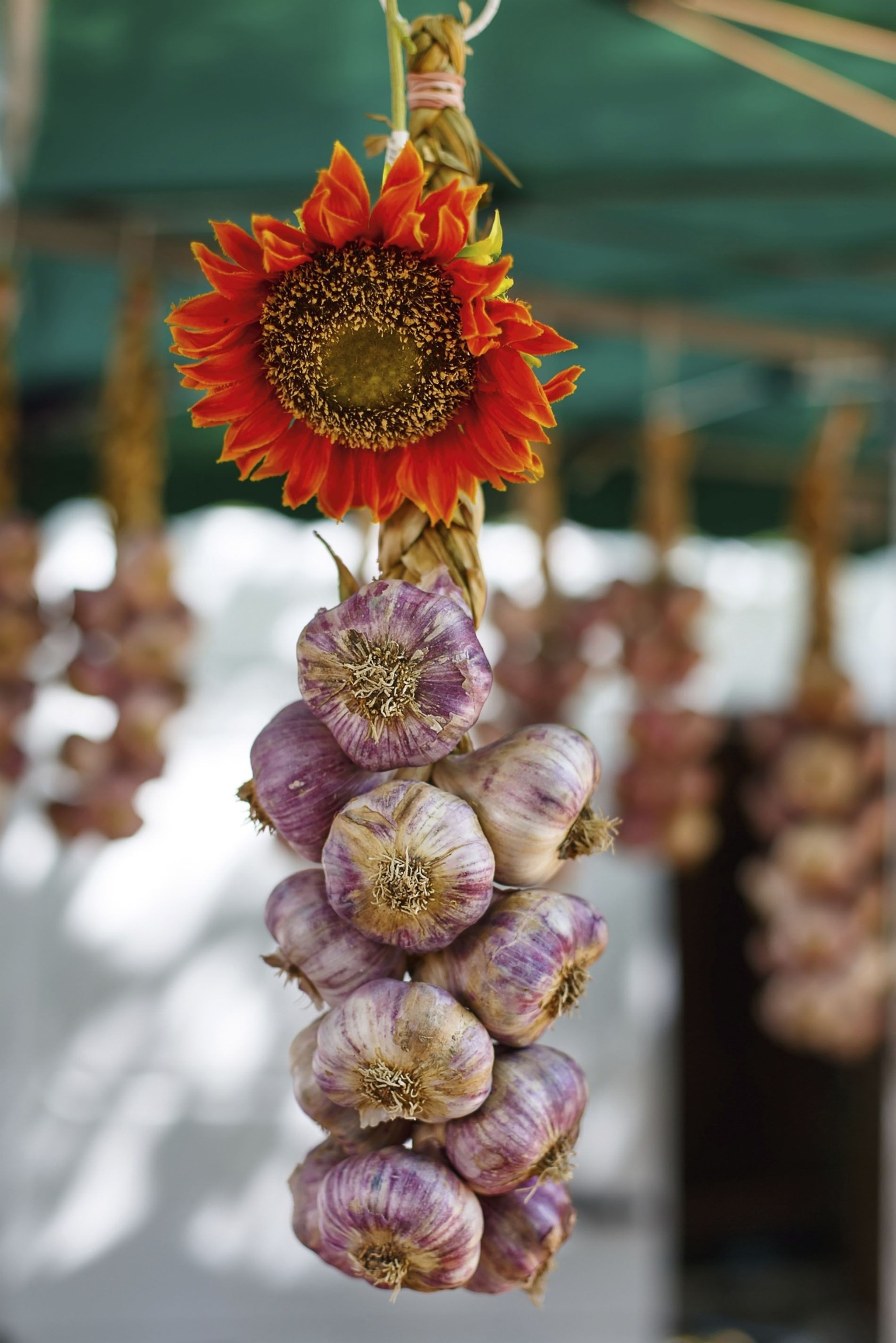 Garlic at Arles Market.