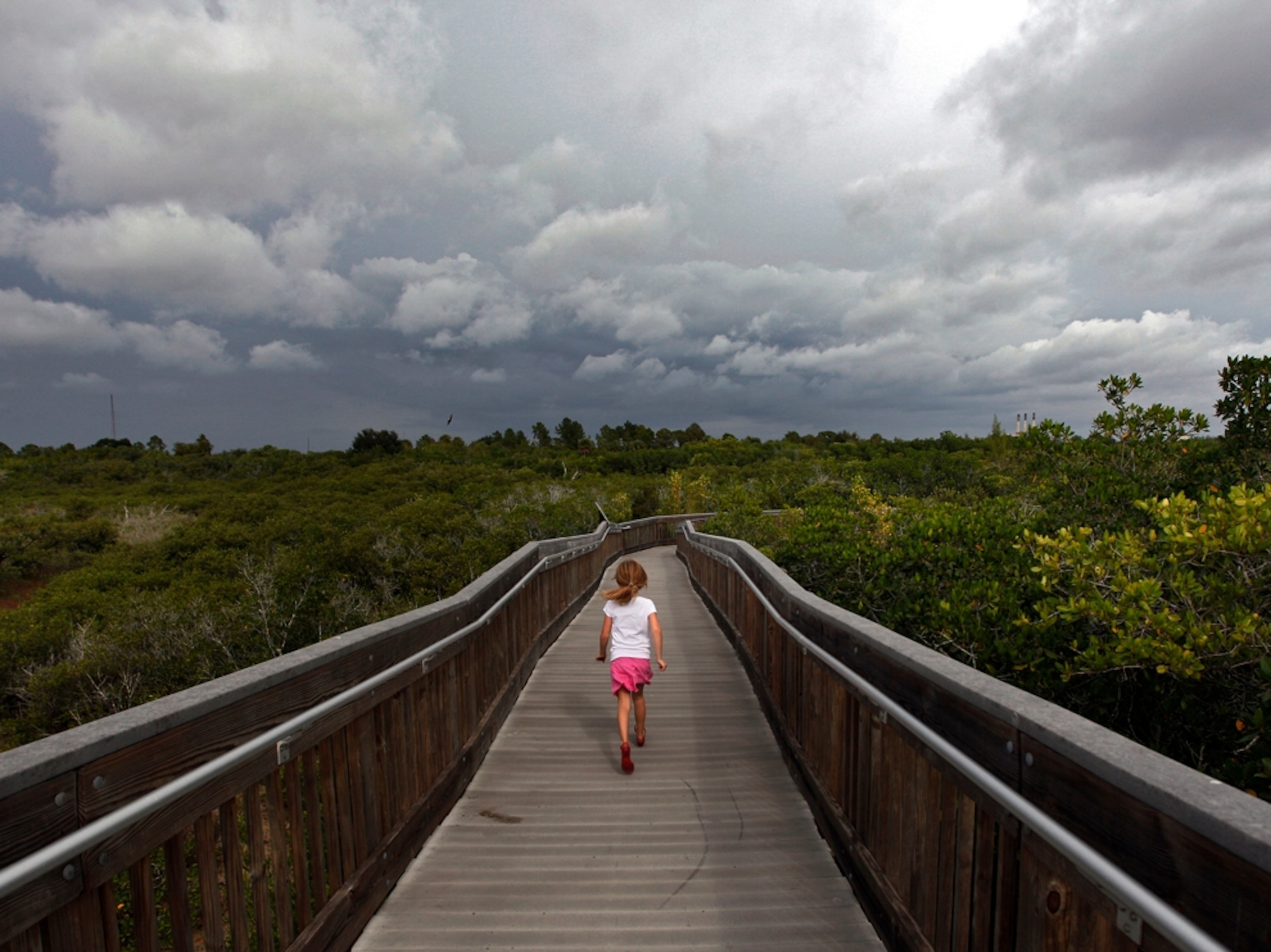 a girl running along a wooden boardwalk at Weedon Island Preserve in St. Petersburg, Florida