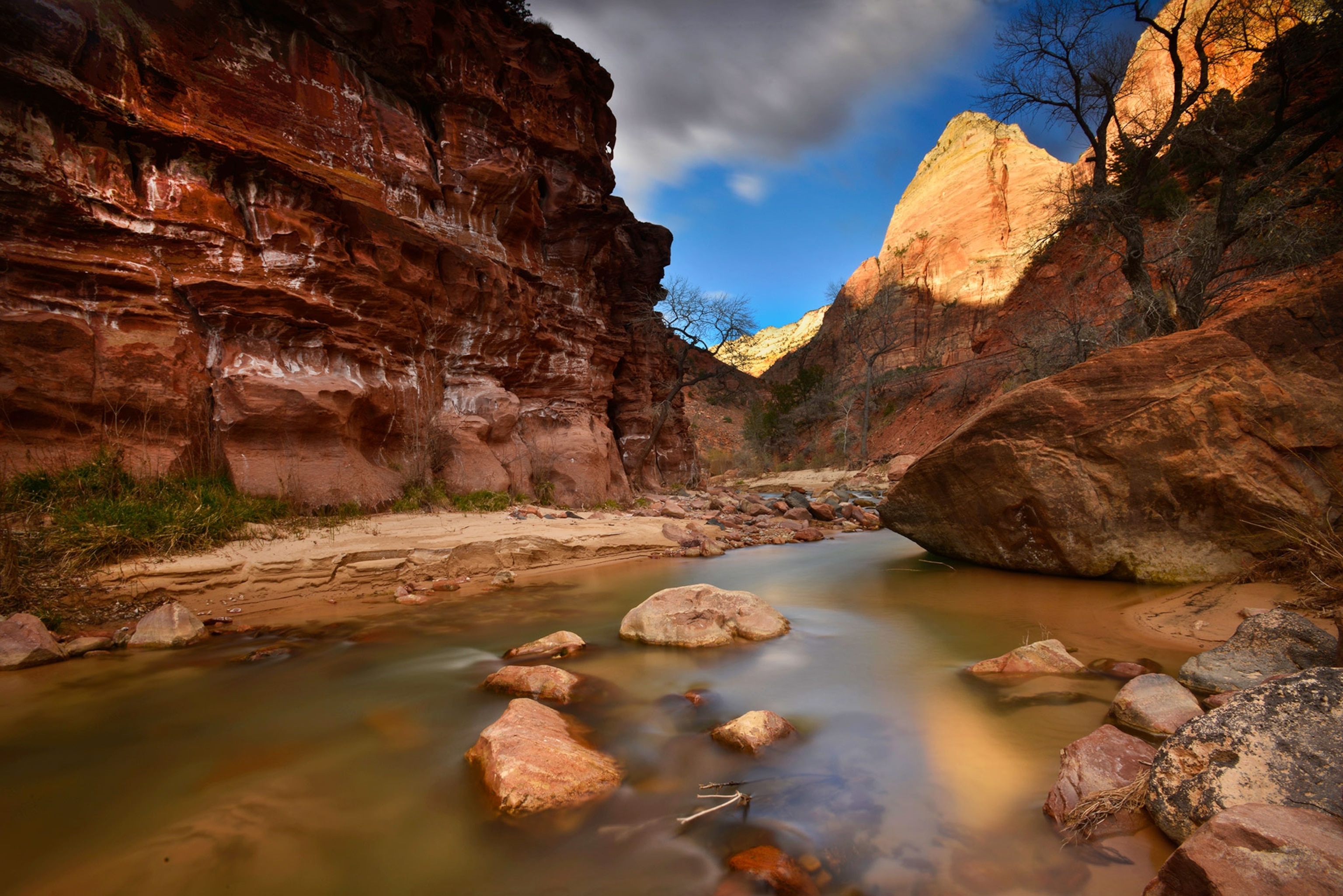 Sunlight on cliffs above the Virgin River in Zion National Park.