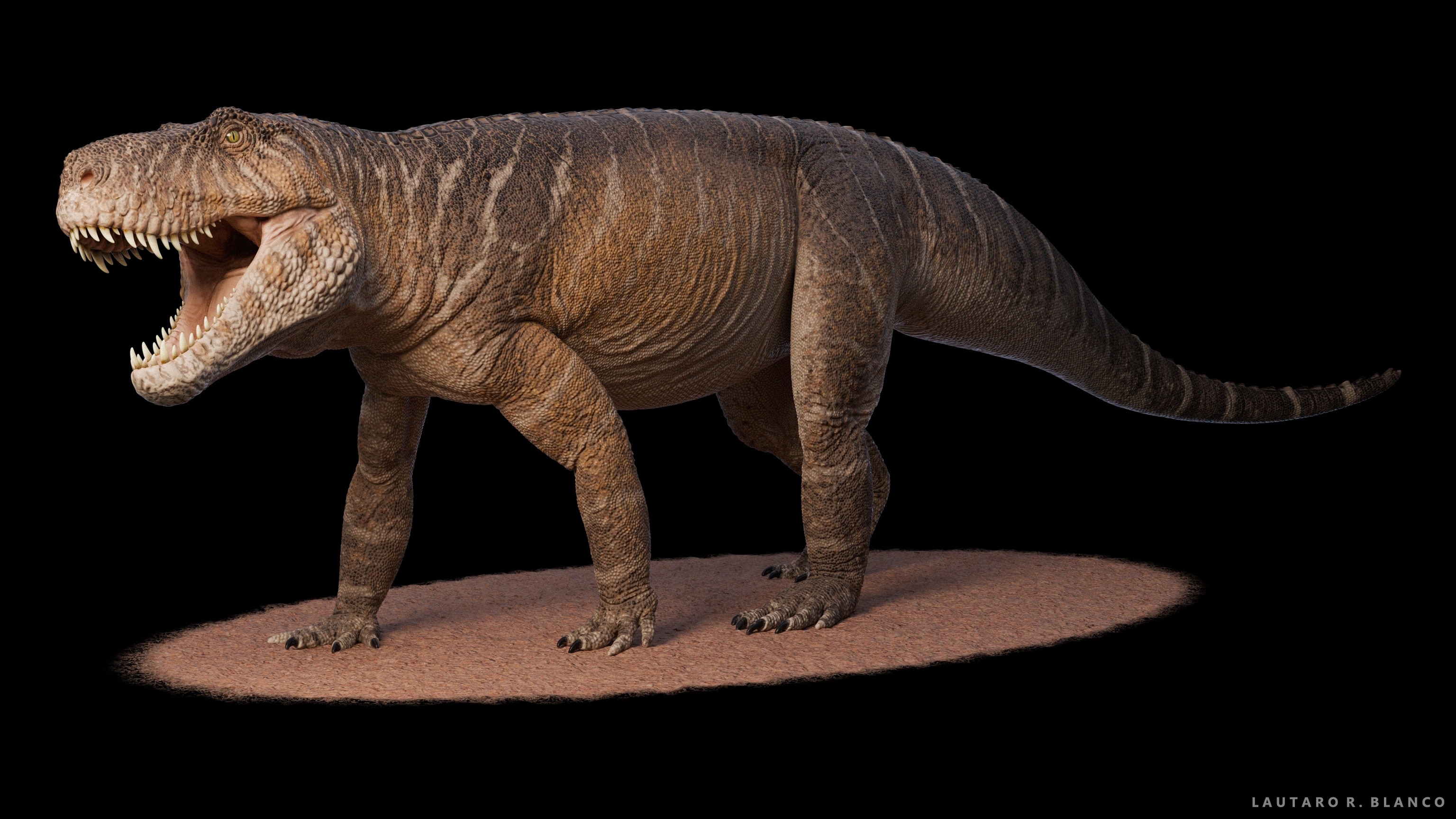 The ‘Blessed Lizard’ That Inherited the Earth After Its Worst Apocalypse