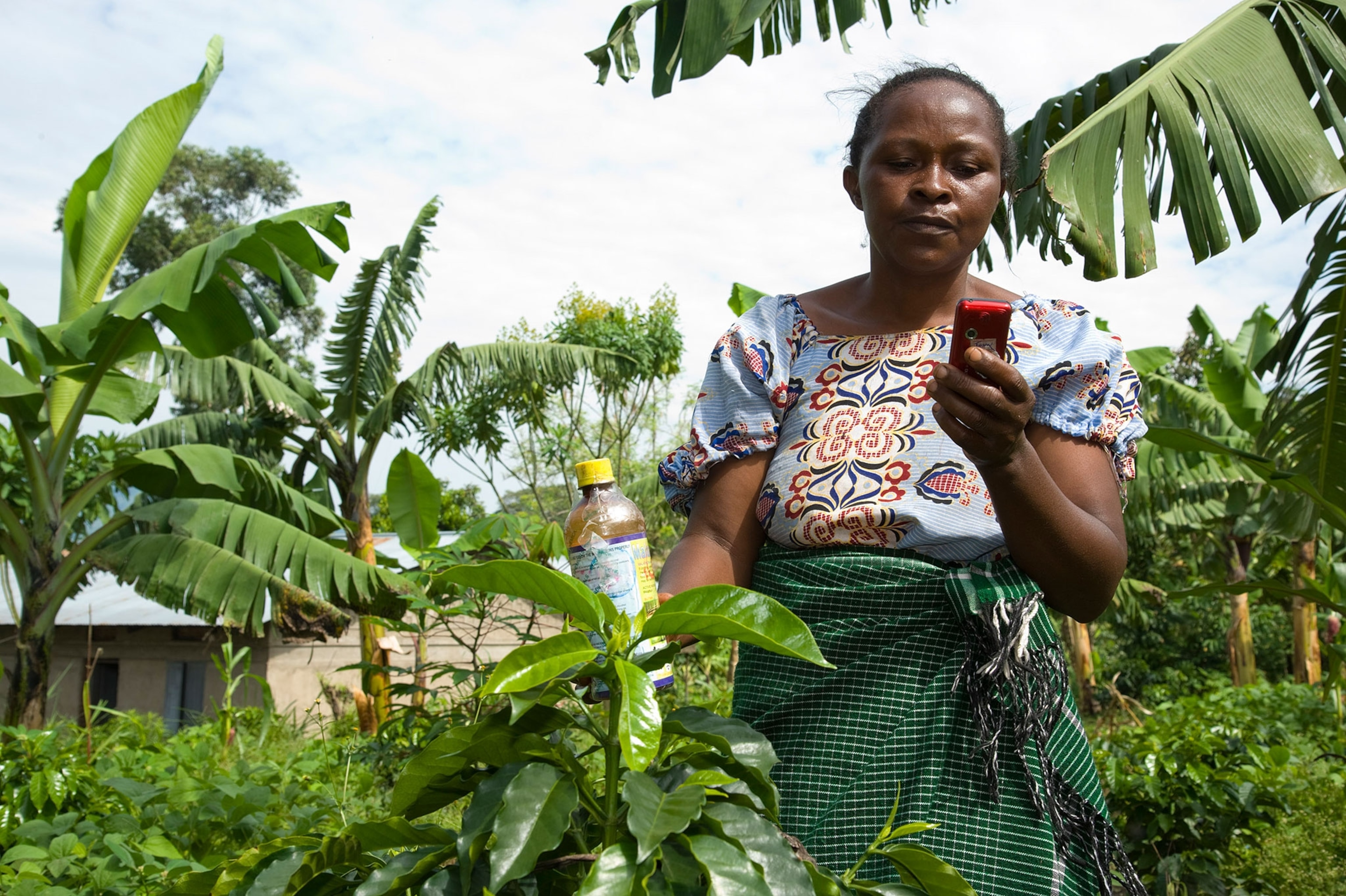 a female farmer using cell phone