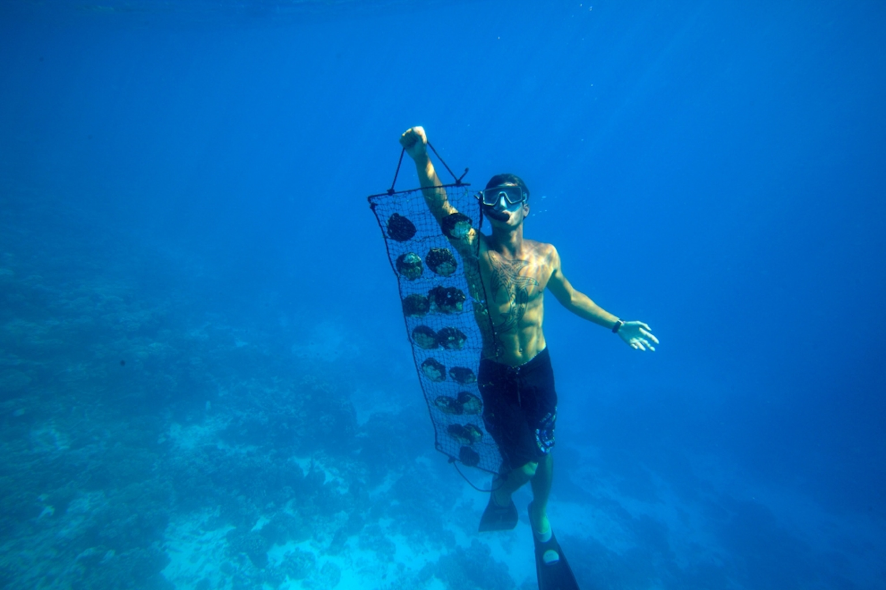 Ловцы жемчуга ныряльщик. Трансформация тела воркаут. Результат тренировок. Каким должен быть результат тренировок ловцов жемчуга. Трансформация тела по этапно.