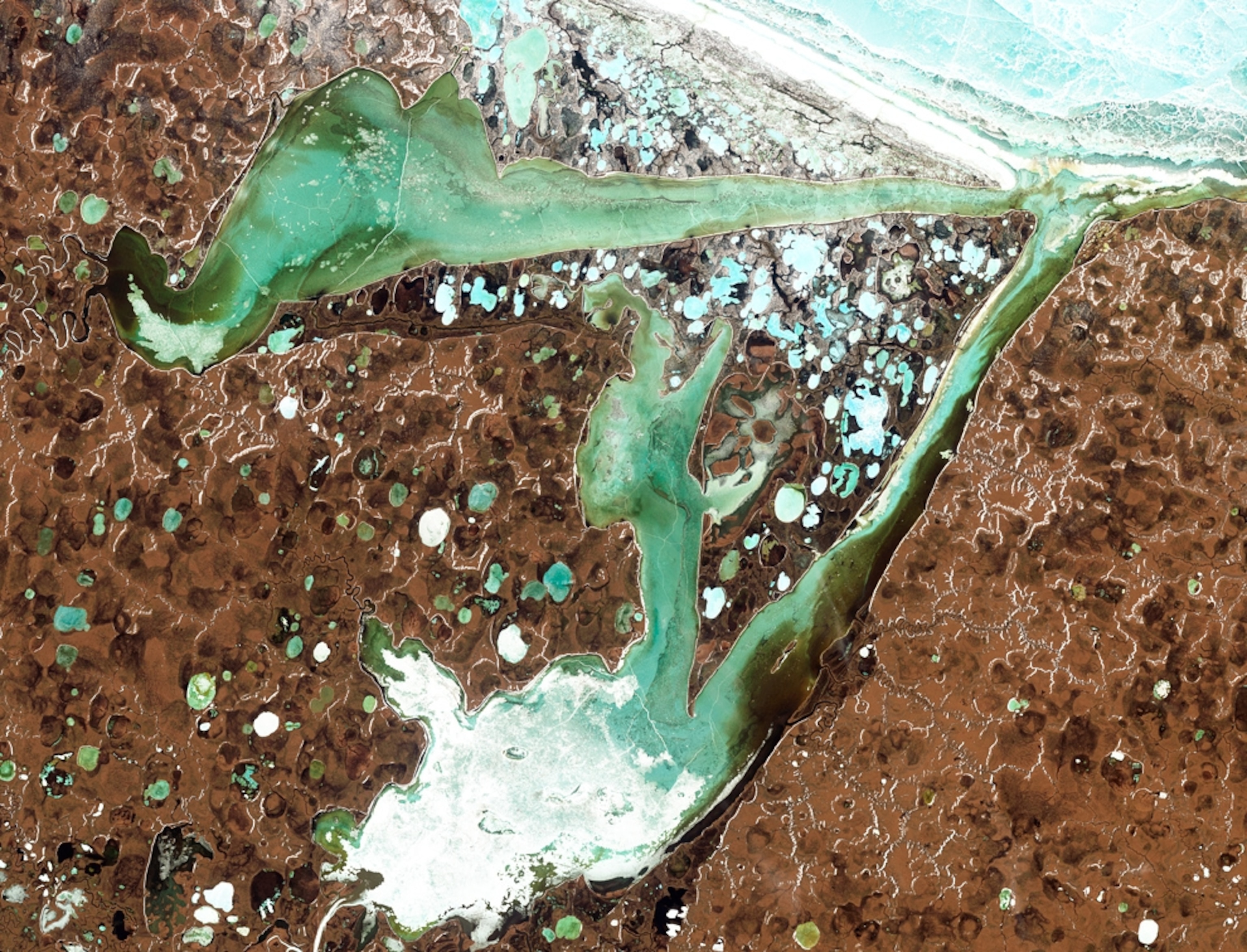 Satellite picture of two bays and several small lakes in Siberia