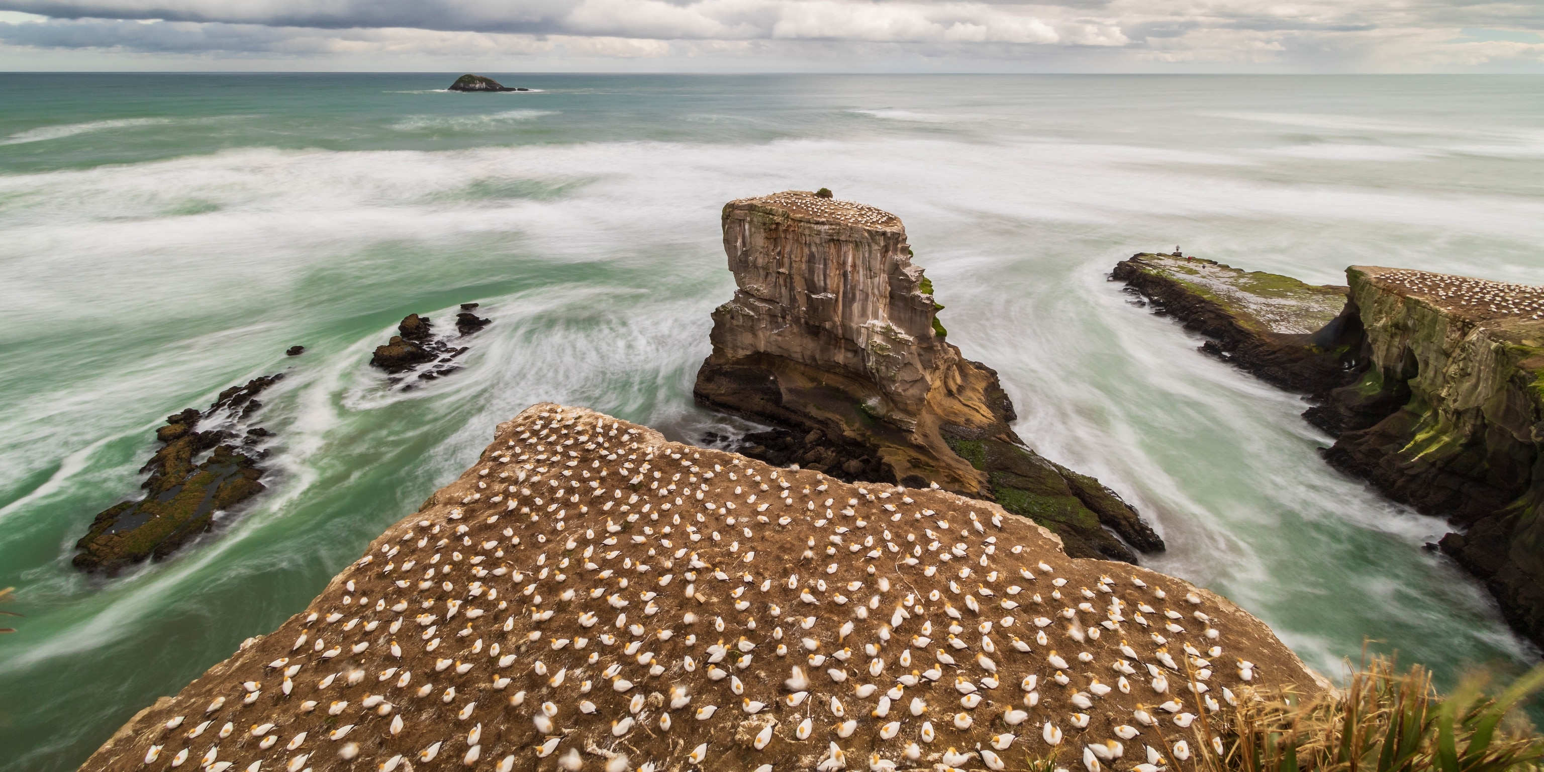 My New Zealand story | National Geographic