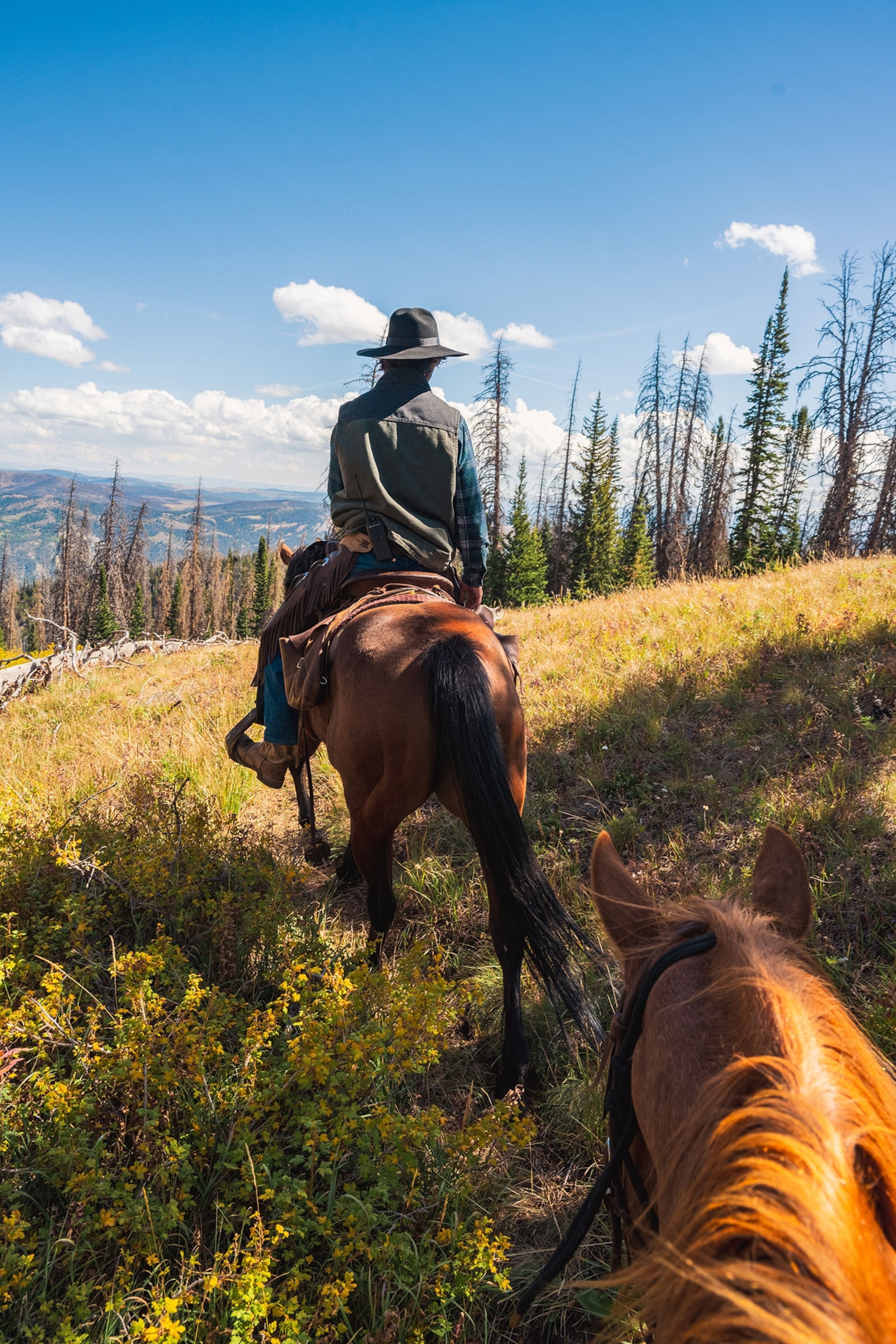 Guests and tour guides on horseback at Darwin Ranch.