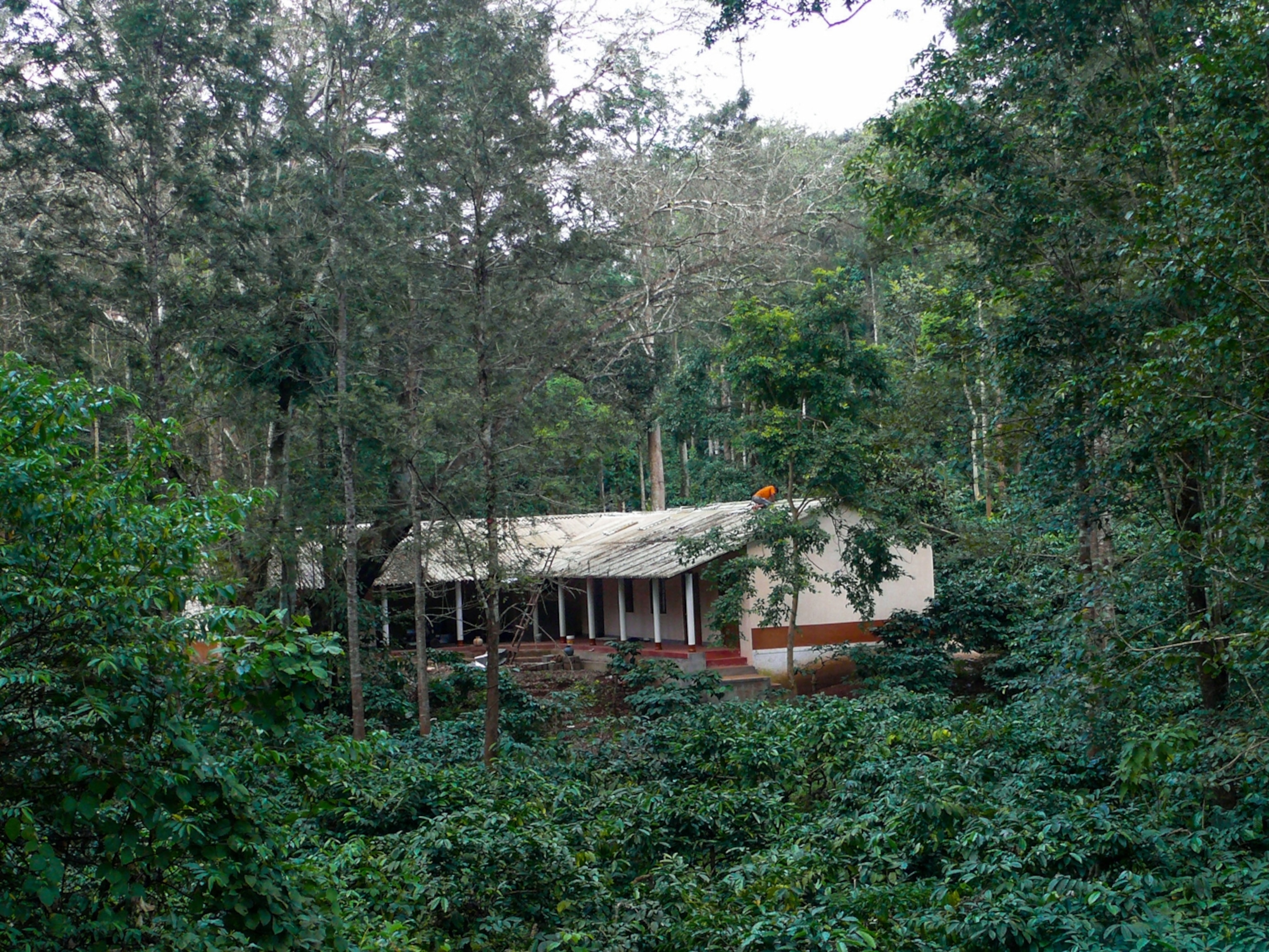 Bhadra Wildlife Sanctuary in India