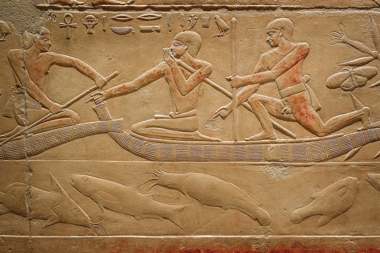 Barbeled catfish swim under a boat made of papyrus reeds in this 6th-dynasty relief from the Mastaba of Kagemni at Saqqara. It's estimated to be from the late third millennium B.C.