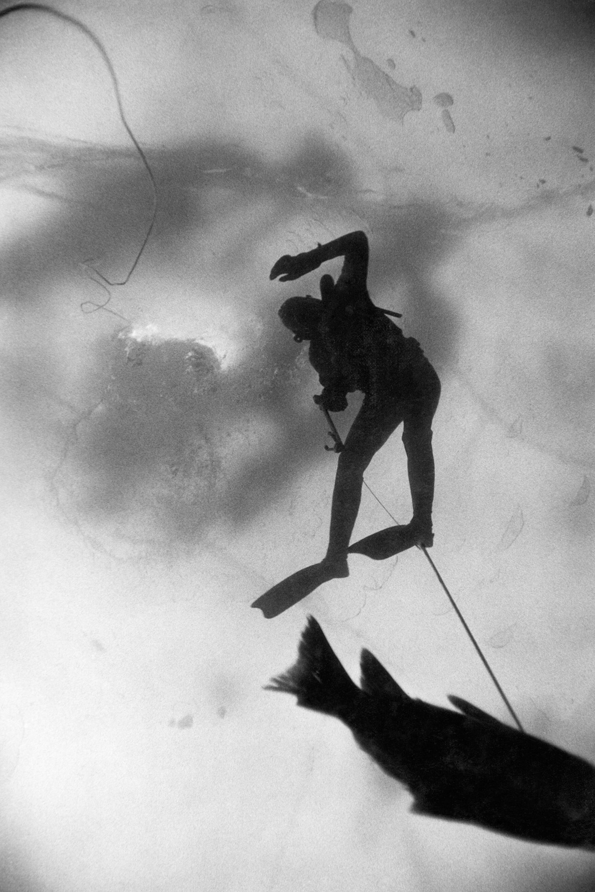Fullyaquadic: The Ultimate Underwater Exploration Guide - 07vj2wz