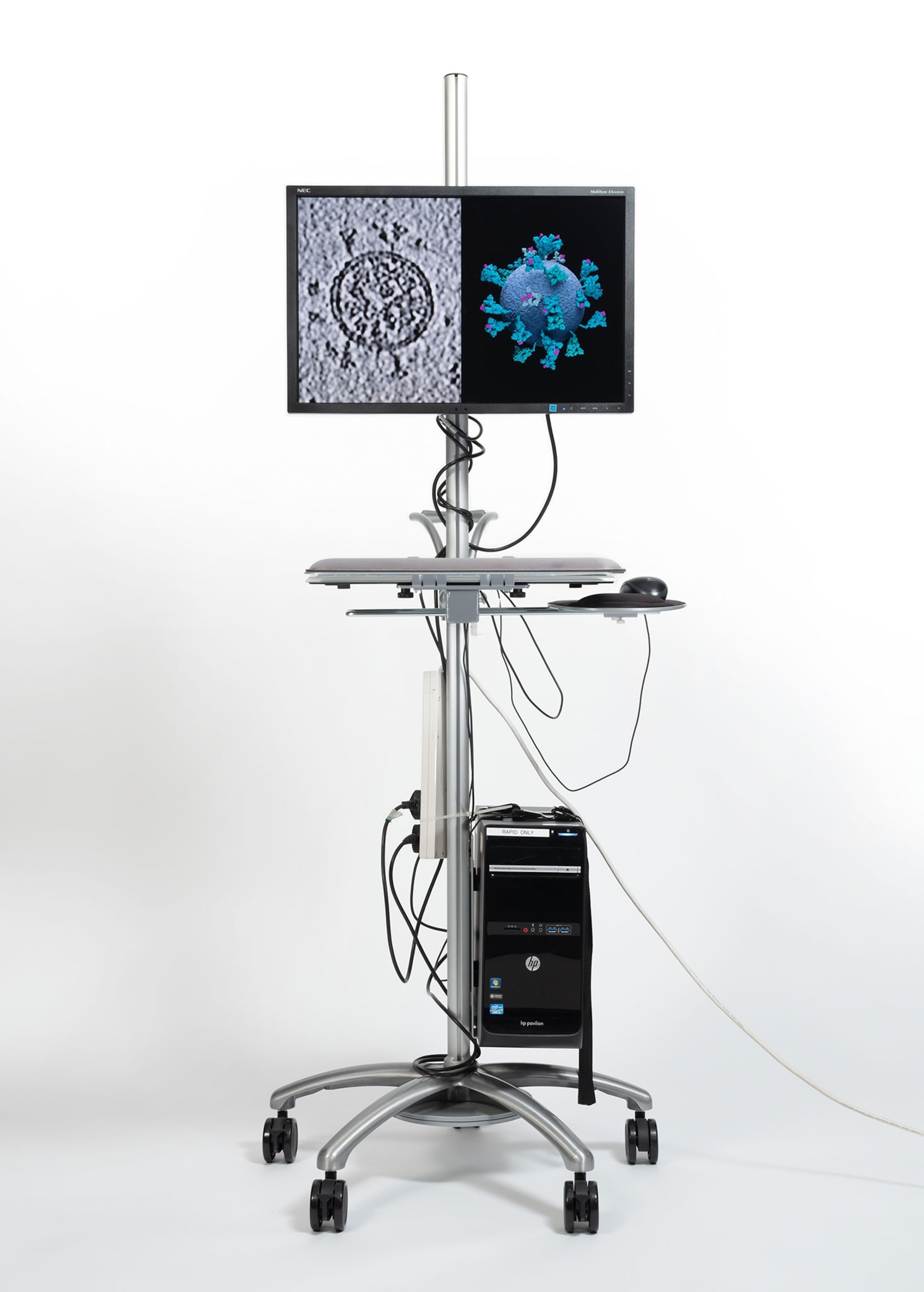 tall stand with computer monitor with viruses images on it.