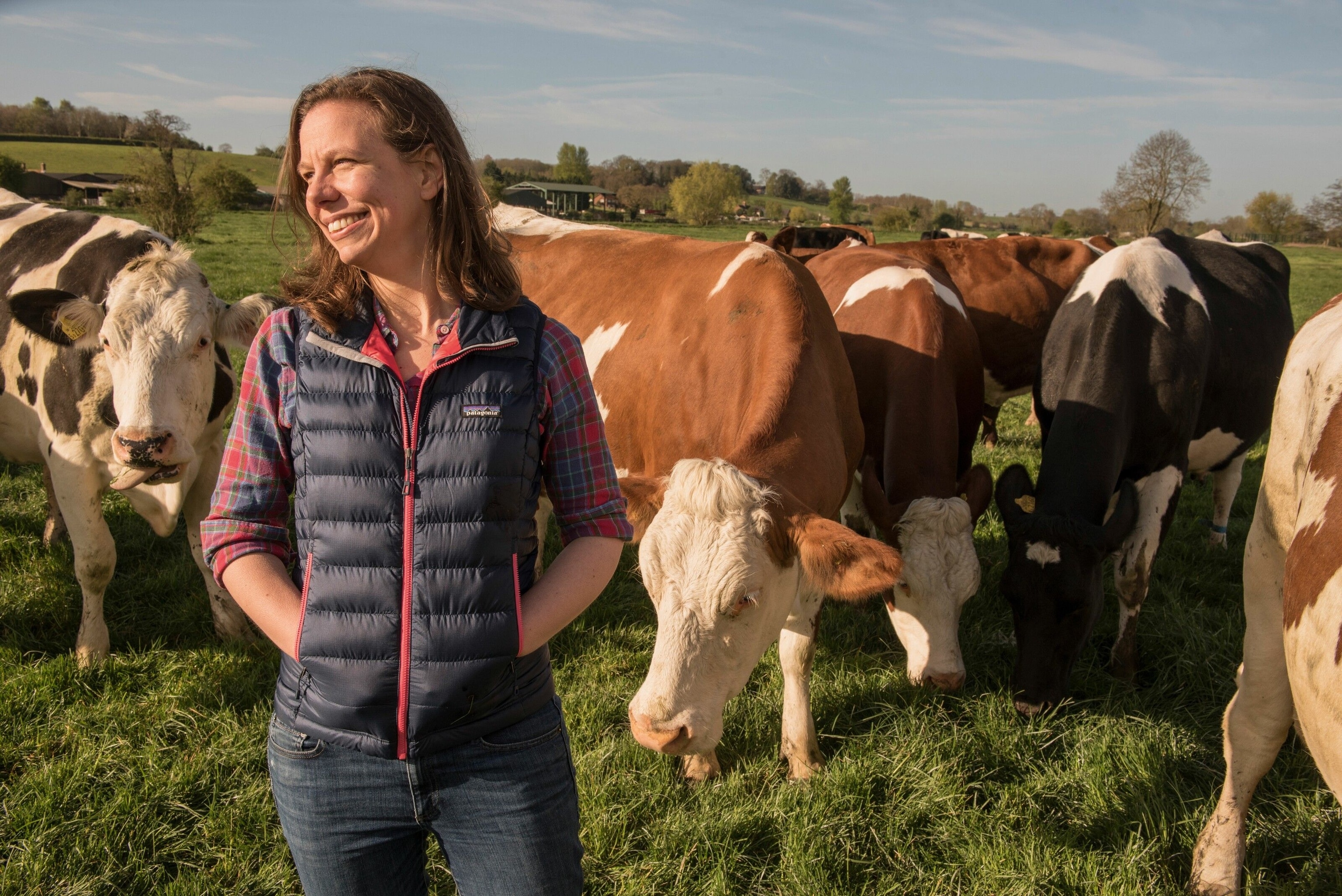 Bronwen works as a buyer and technical manager for Neal’s Yard Dairy — the micro-dairy turned artisan cheese retailer founded by Randolph Hodgson in 1979.