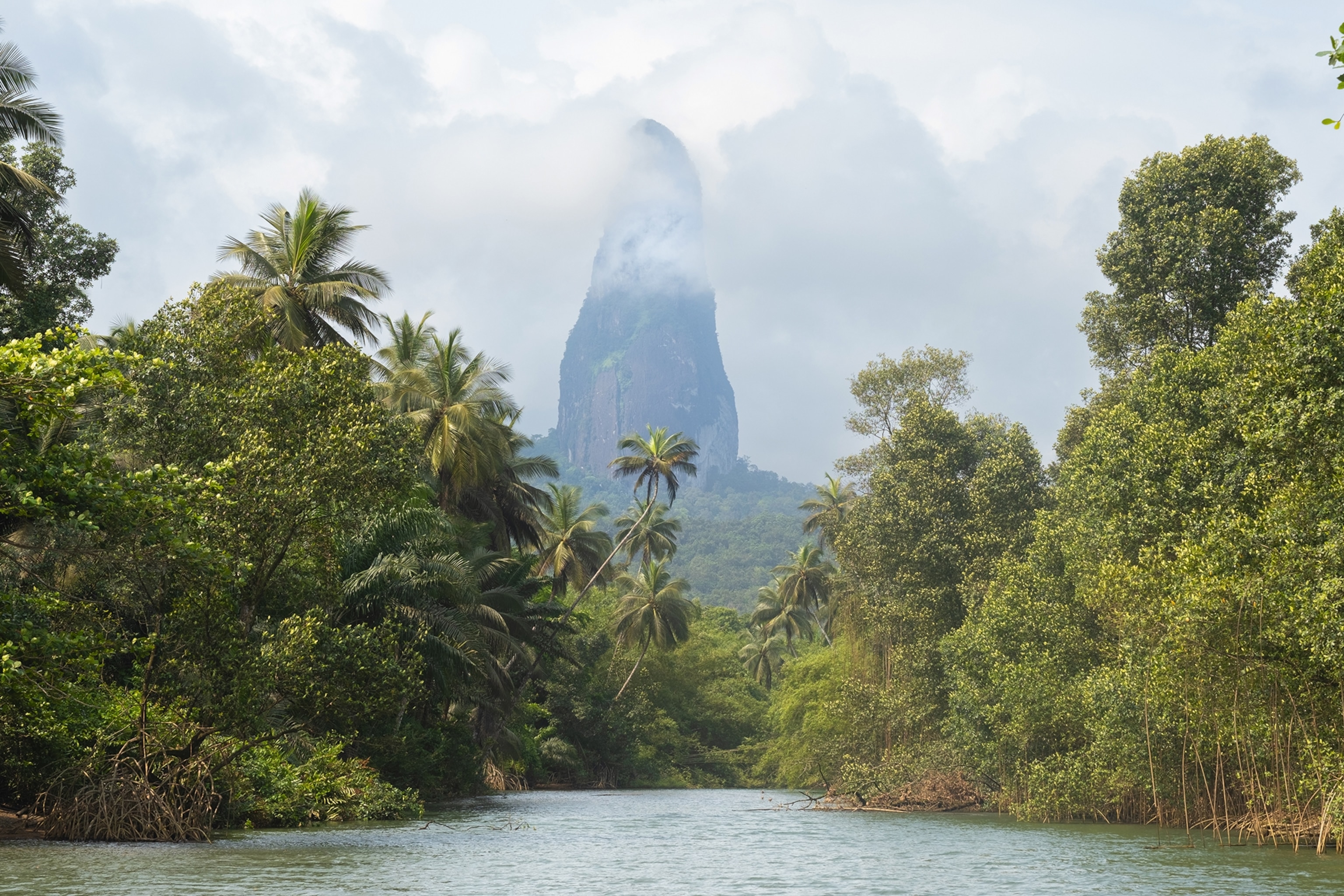 A river coursing through a rainforest with a pointy peak in the distance, shrouded in mist.