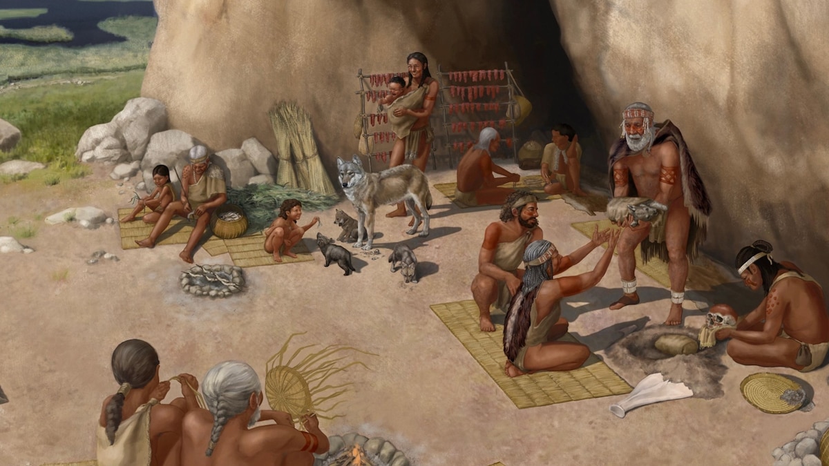 Scientists have found the world's oldest dogs