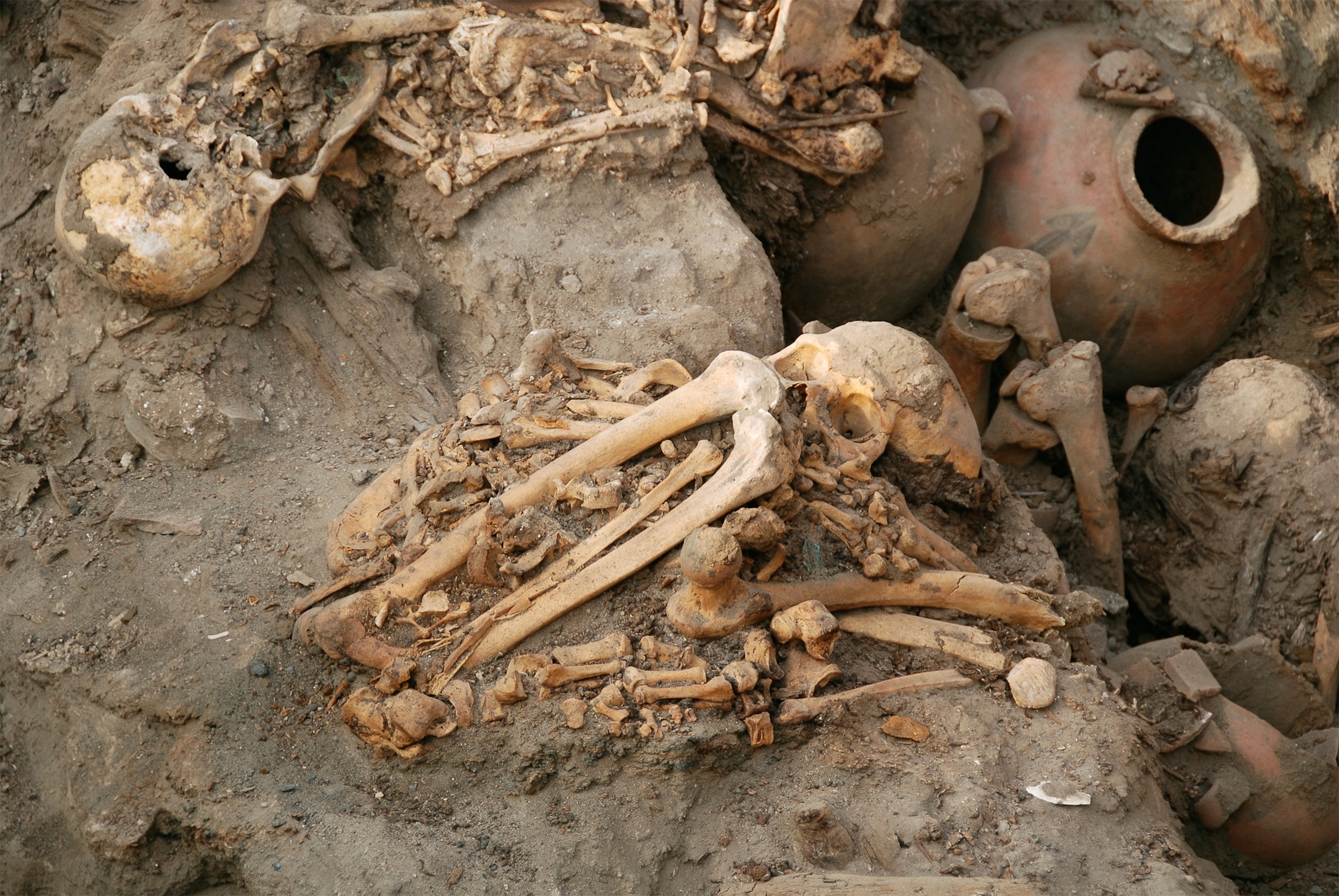 Skeletons picture: from new tomb found at Pachacamac Peru