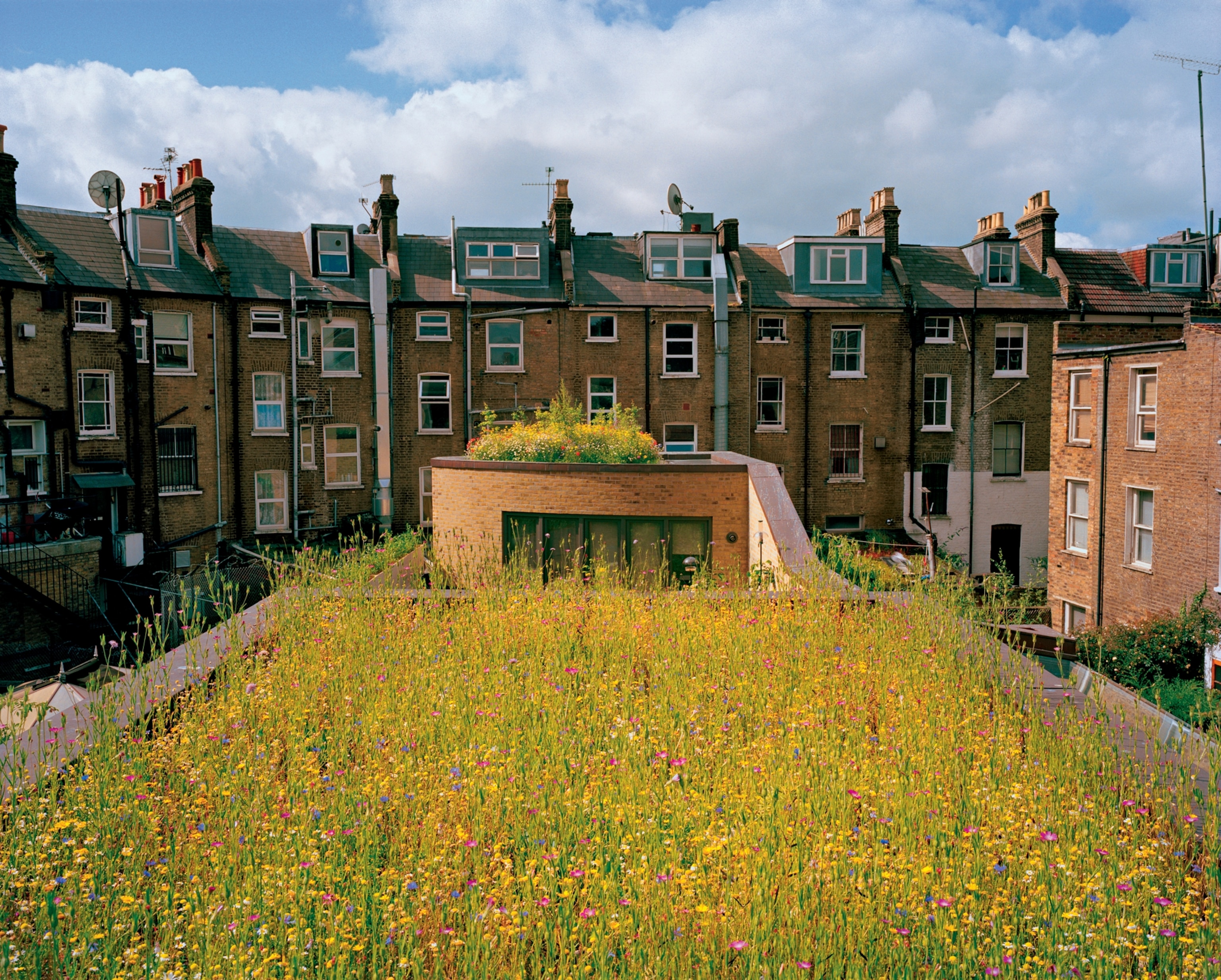 row houses overlooking a rooftop garden in London