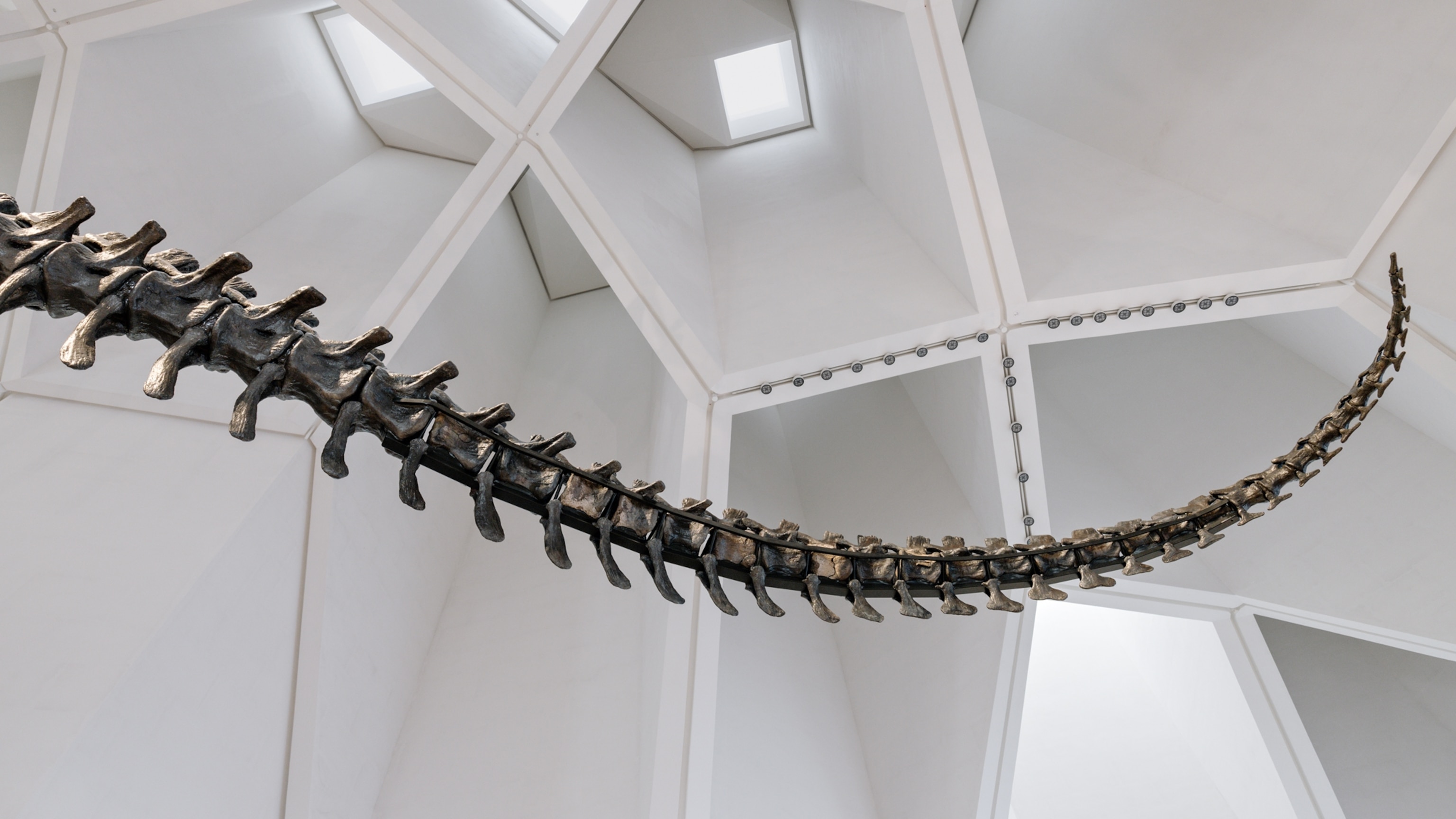 Inside the making of the Natural History Museum Abu Dhabi