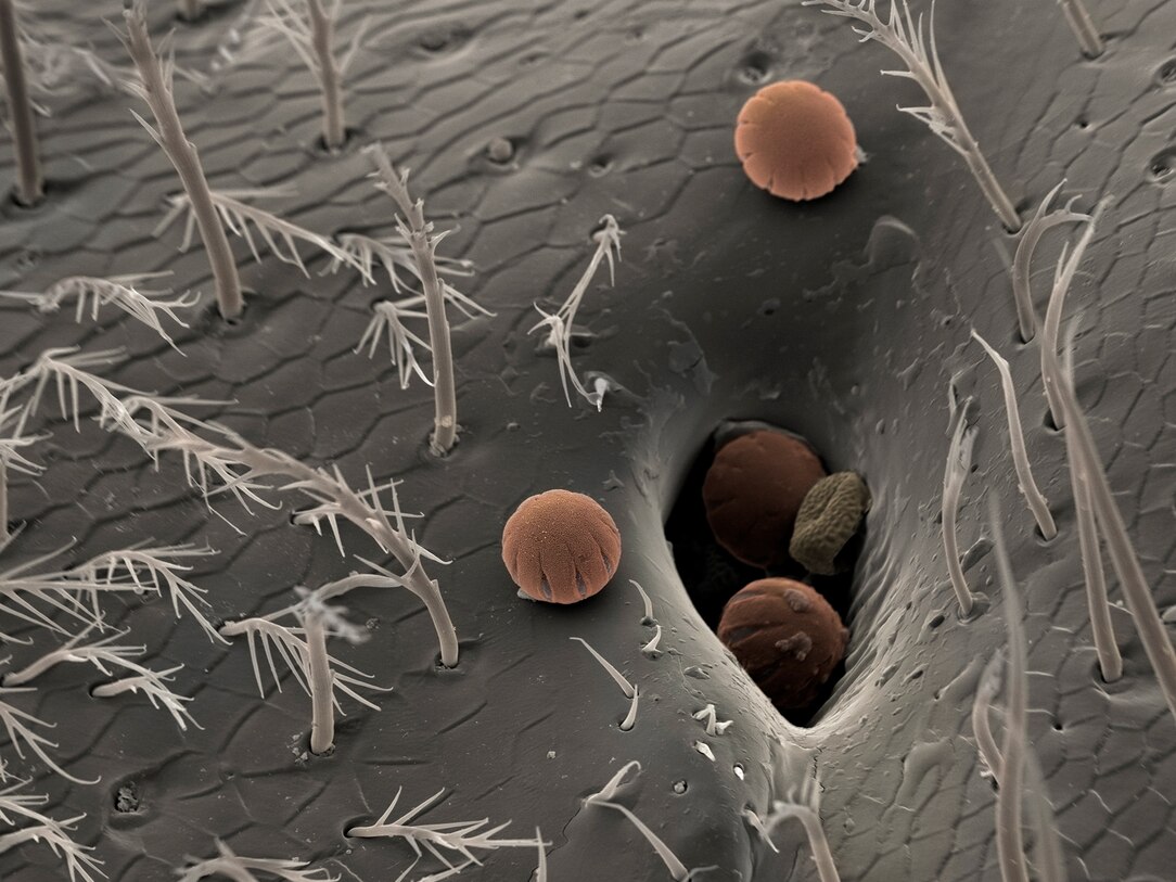 Metal Surface Magnified