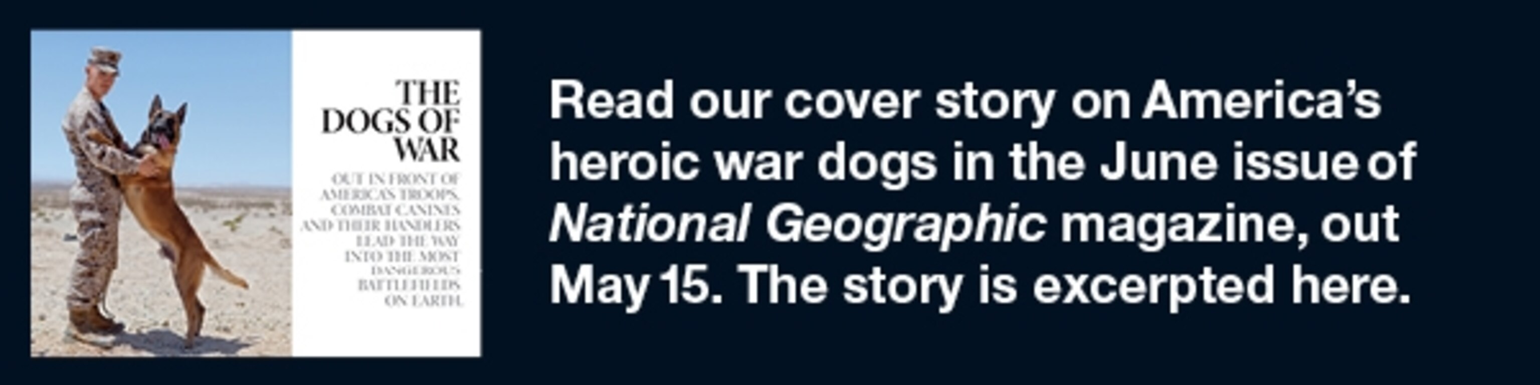 A solider and dog work to find the wounded in poisonous war areas.