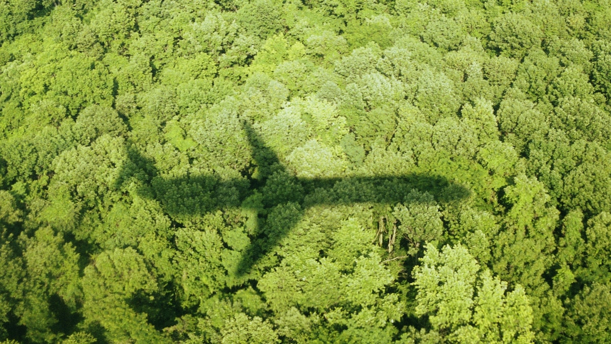 How a climate scientist deals with ‘travel guilt’