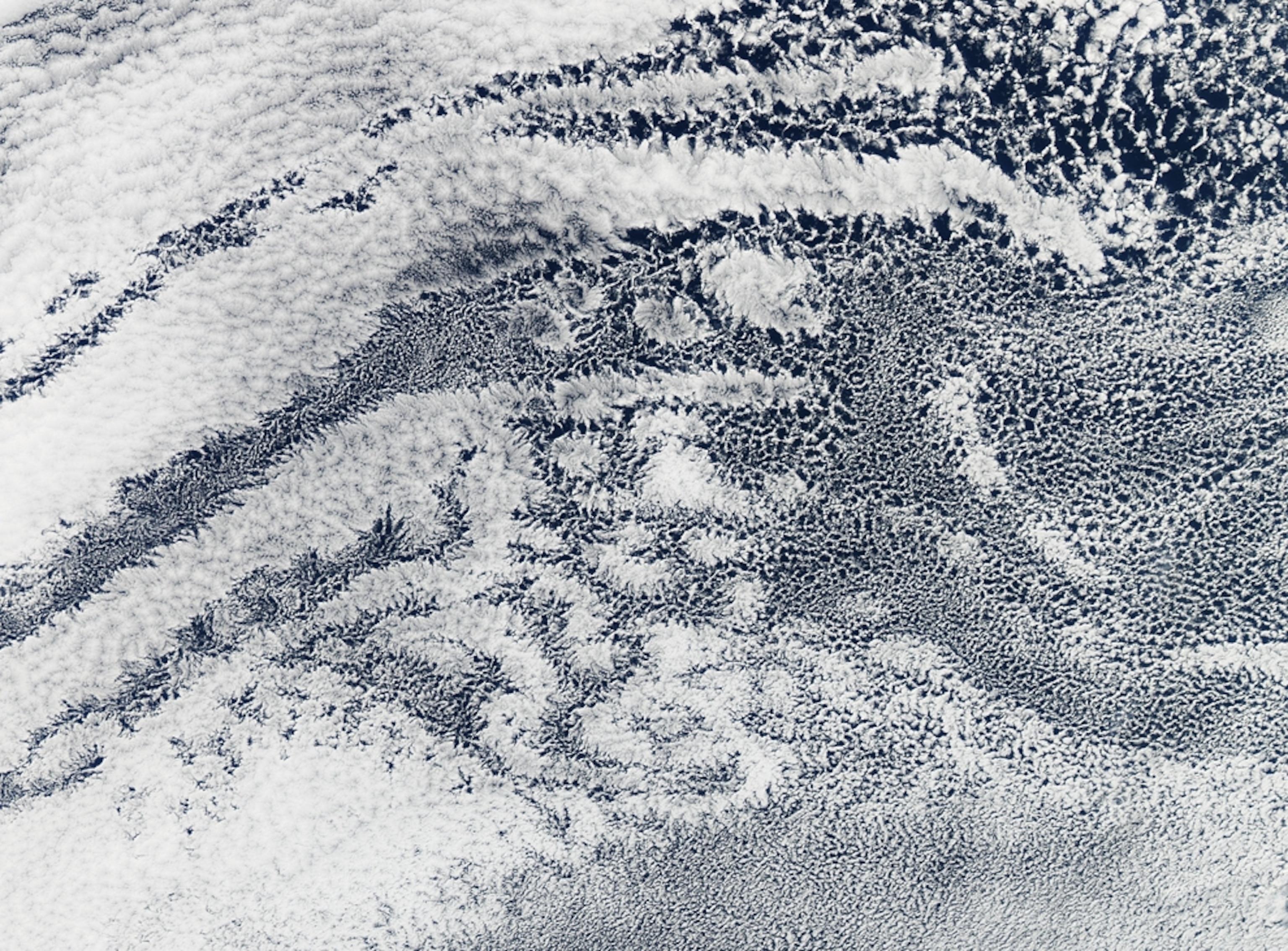 open-cell and closed-cell clouds