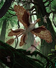10 Dinosaur Facts That Will Blow Your Kid s Mind National Geographic 10 Dinosaur Facts That Will Blow Your Kid s Mind National Geographic