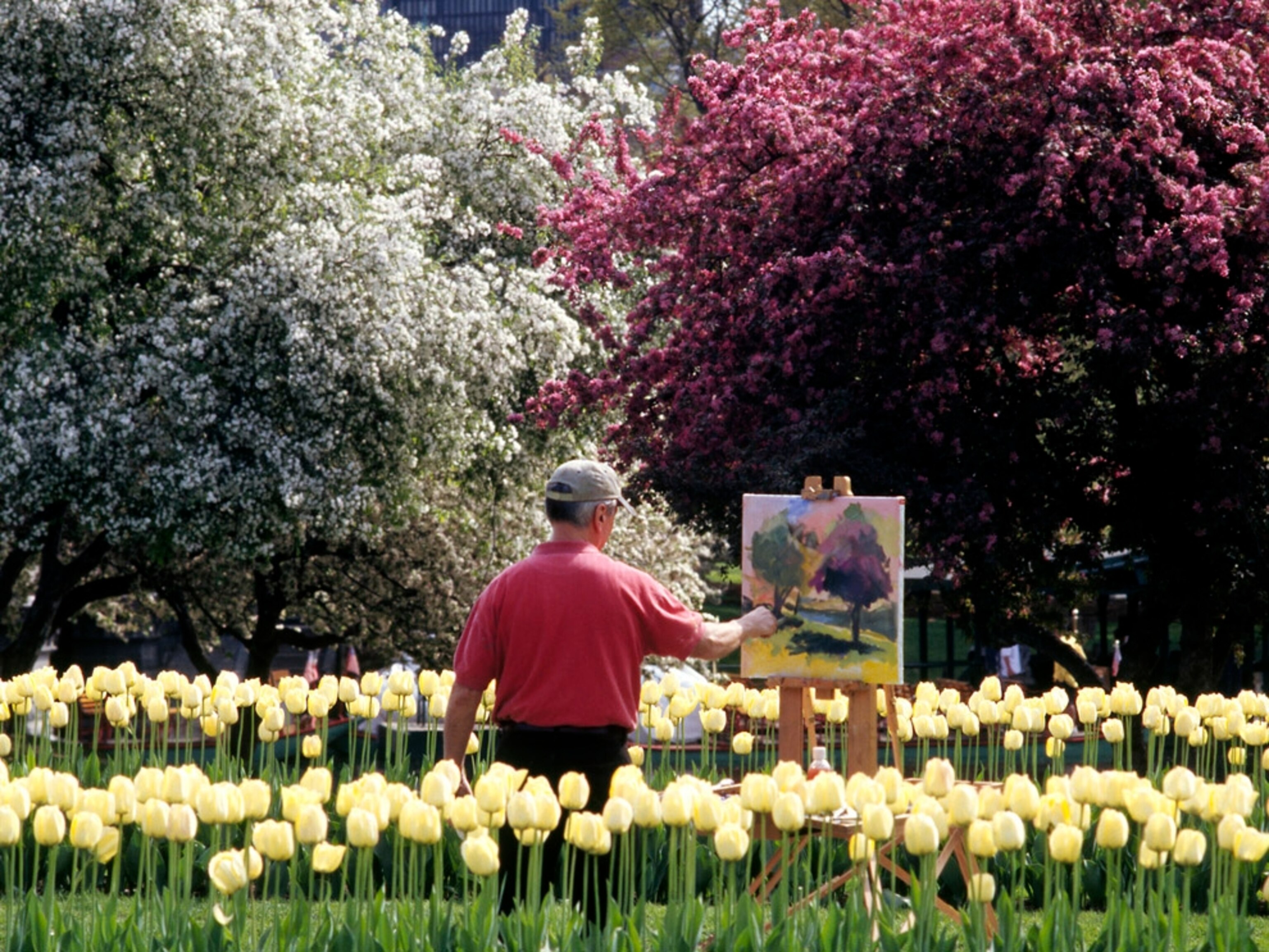 Painting in the Public Garden